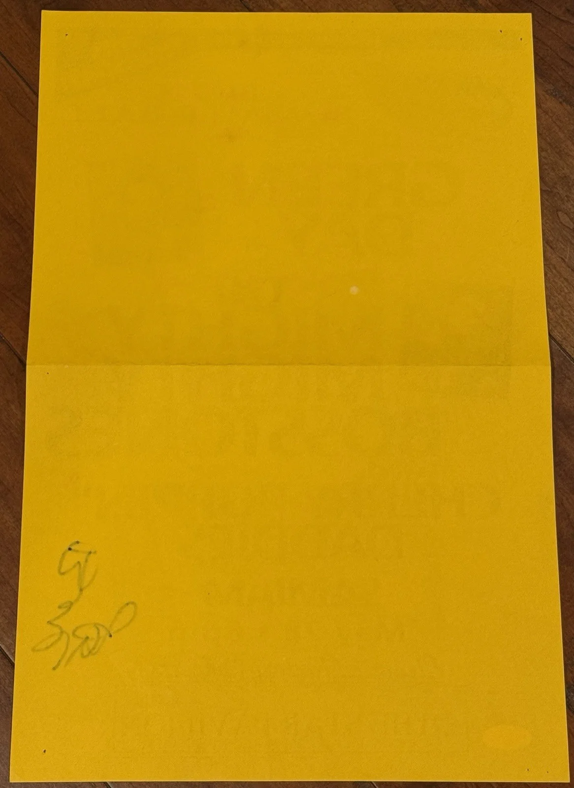 Billie Joe Armstrong Signed Original Green Day 1998 Concert Poster JSA Authentic, изображение 4