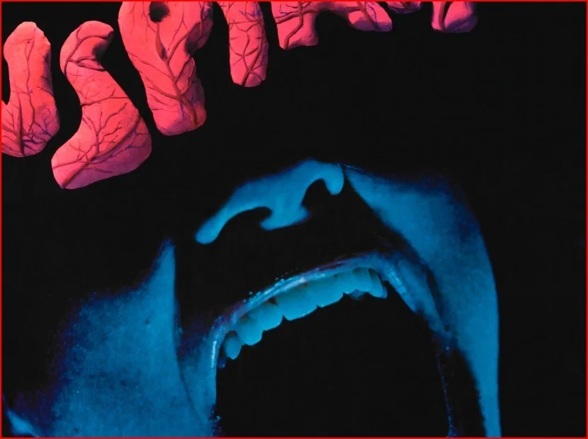 Suspiria 1977 Supernatural Horror - Restored 27.2" x 41" US One Sheet Poster, image 4
