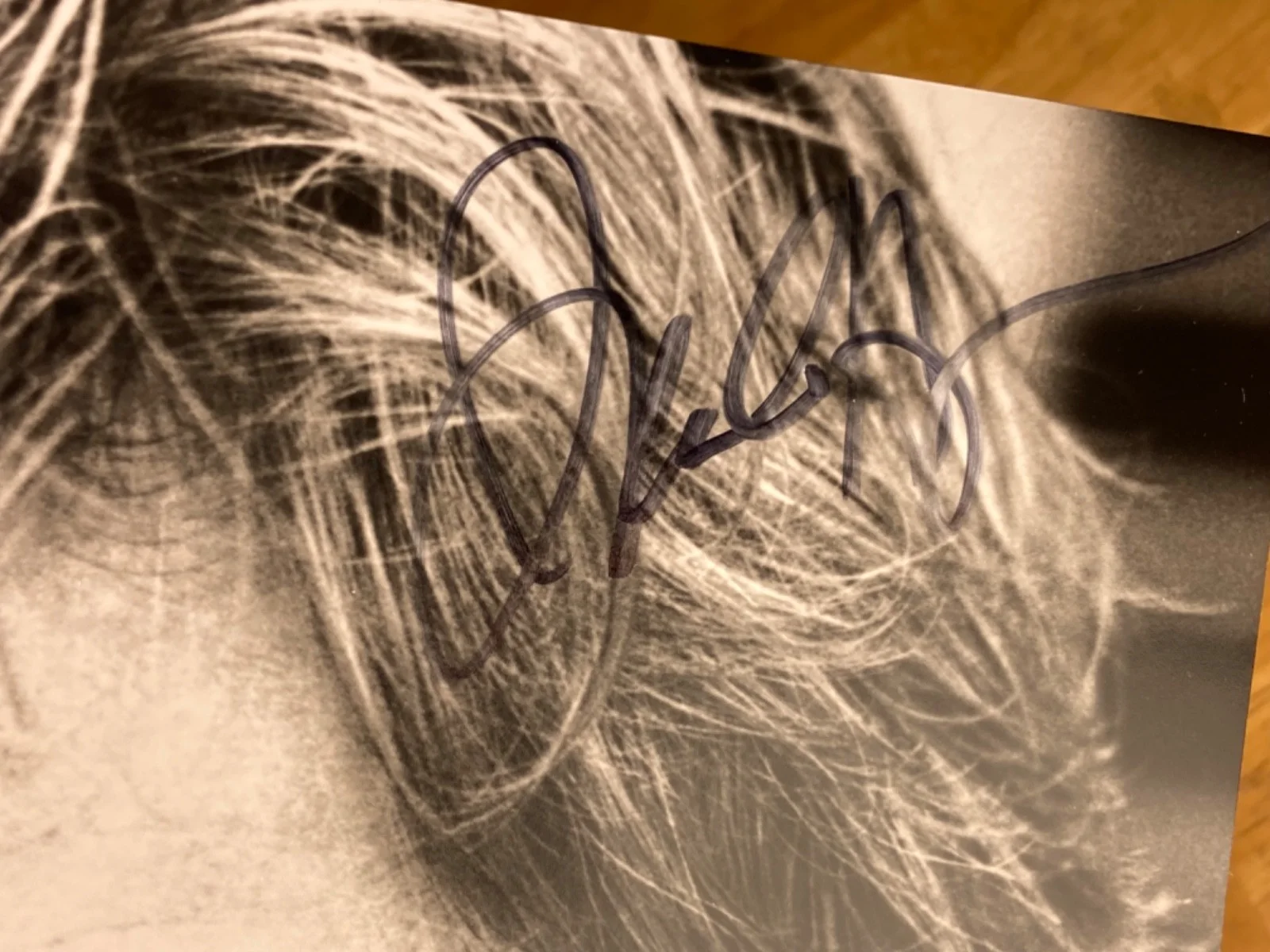 Hand SIGNED Brandon Hooper 8x10 Photo - General Hospital, TV Soap Opera, etc, изображение 3