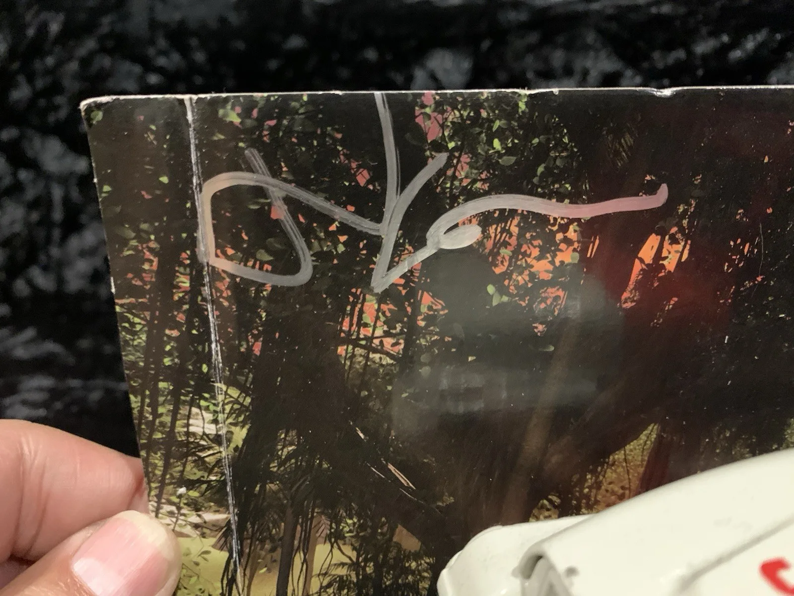 jeff Goldblum — JEFF GOLDBLUM SIGNED AUTOGRAPHED JURASSIC PARK JEEP, изображение 3