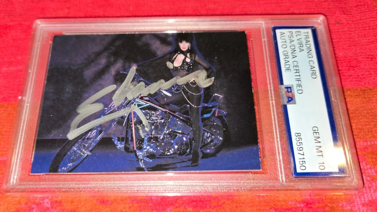 ELVIRA MISTRESS OF THE DARK — ELVIRA MISTRESS OF THE DARK AUTOGRAPHED CARD PSA / DNA AUTO GRADED PSA 10 GEM MT