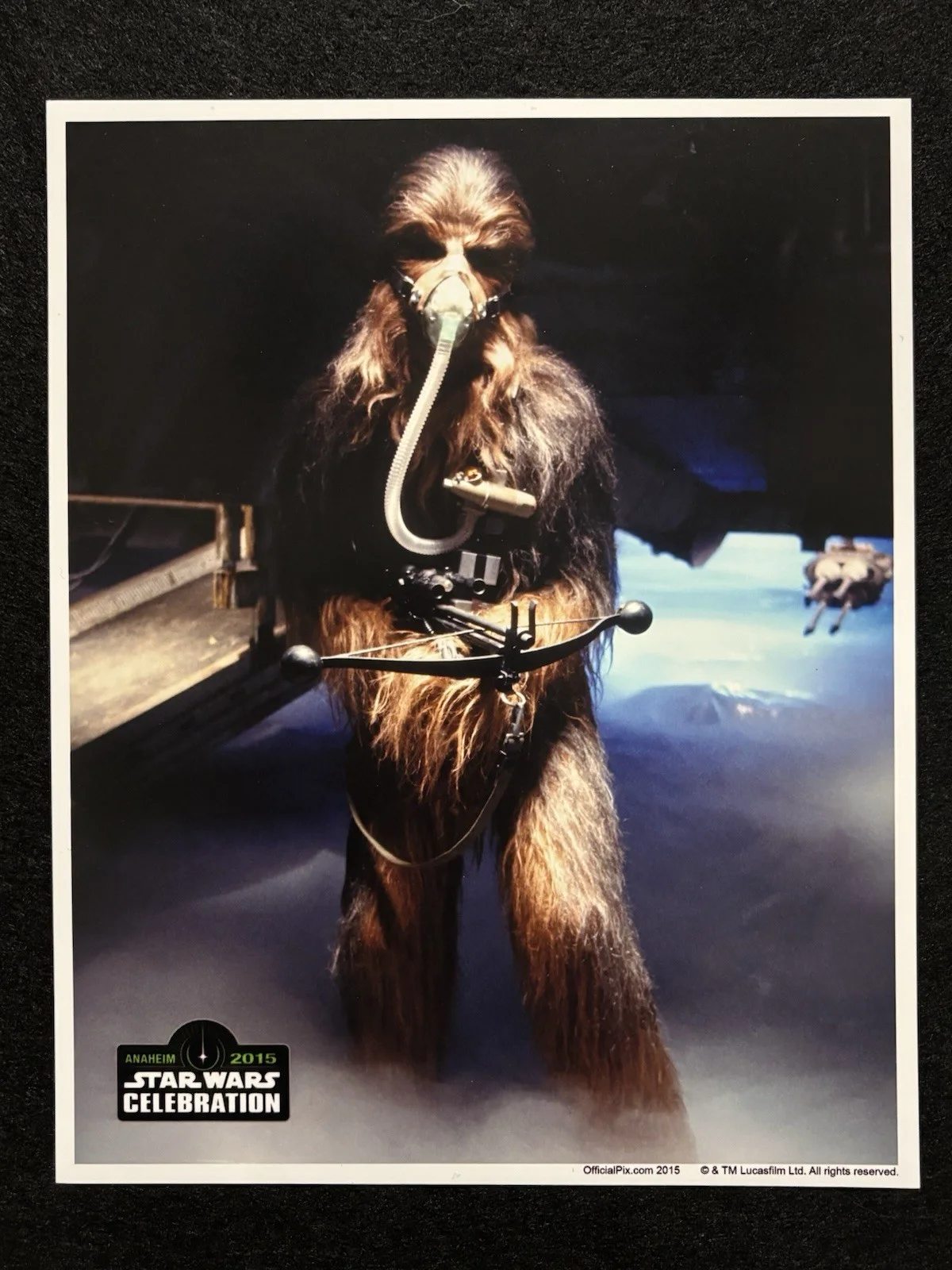 (LOT of 20) Star Wars Official Pix 8x10 Photos -Blank Un-Signed RARE Celebration, изображение 2