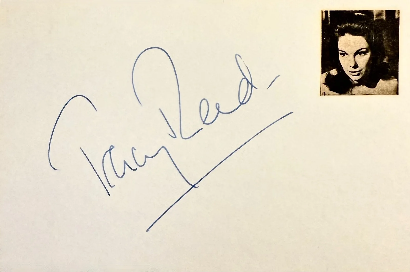 Tracy Reed — TRACY REED Signed Autographed 4x6 INDEX CARD Dr. Strangelove DEVILS OF DARKNESS, image 3