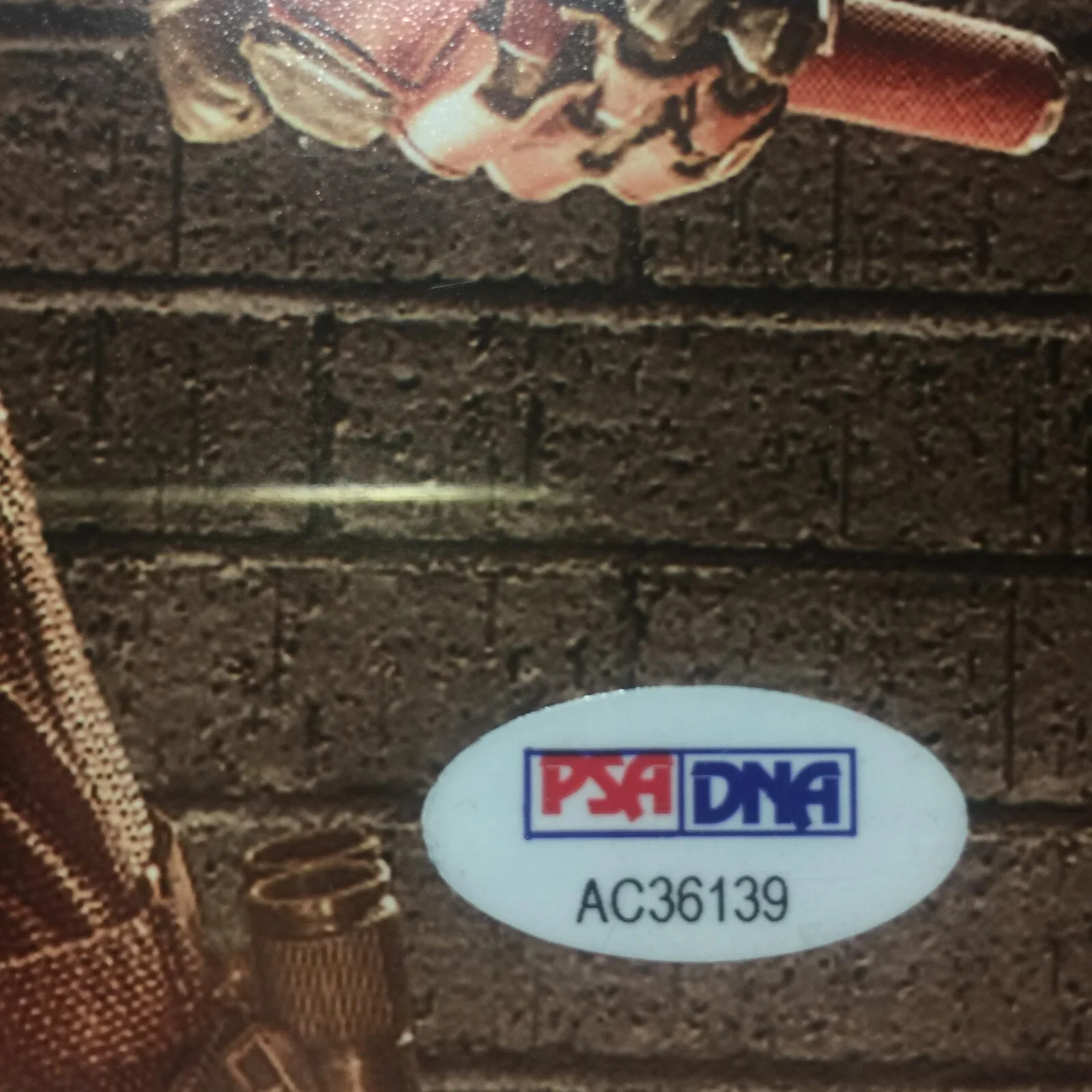 CHARLIE COX — Daredevil Born Again Charlie Cox Signed 8x10 Photo Marvel Autograph PSA/DNA COA, image 3
