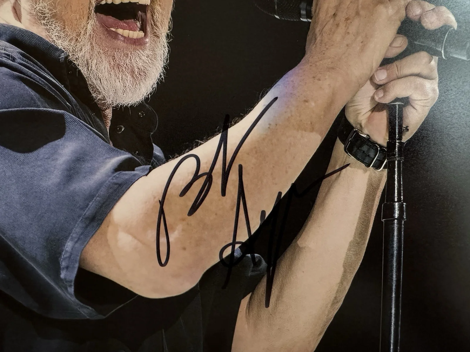 Bob Seger Autographed photo 8 x 10 w/COA hand signed Night Moves Singer, image 2