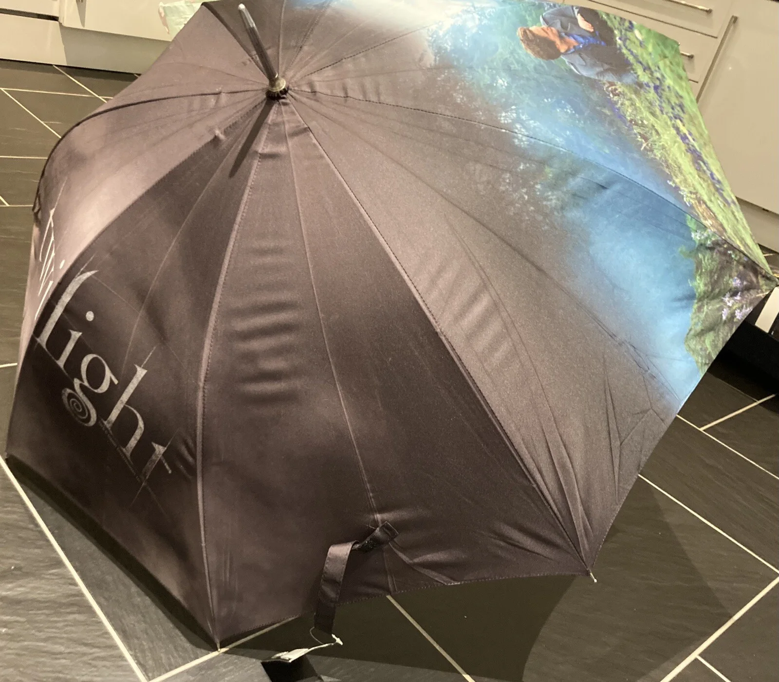 The Twilight Saga Umbrella - Bella and Edward Sitting In Meadow - RARE - NECA, изображение 2