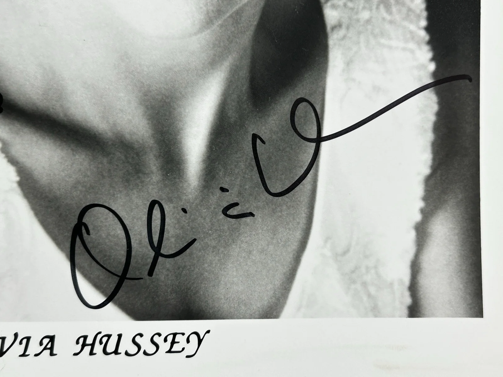 Olivia Hussey — OLIVIA HUSSEY SIGNED 8x10 PHOTO Authentic Orig Autograph JSA COA Romeo & Juliet, изображение 2