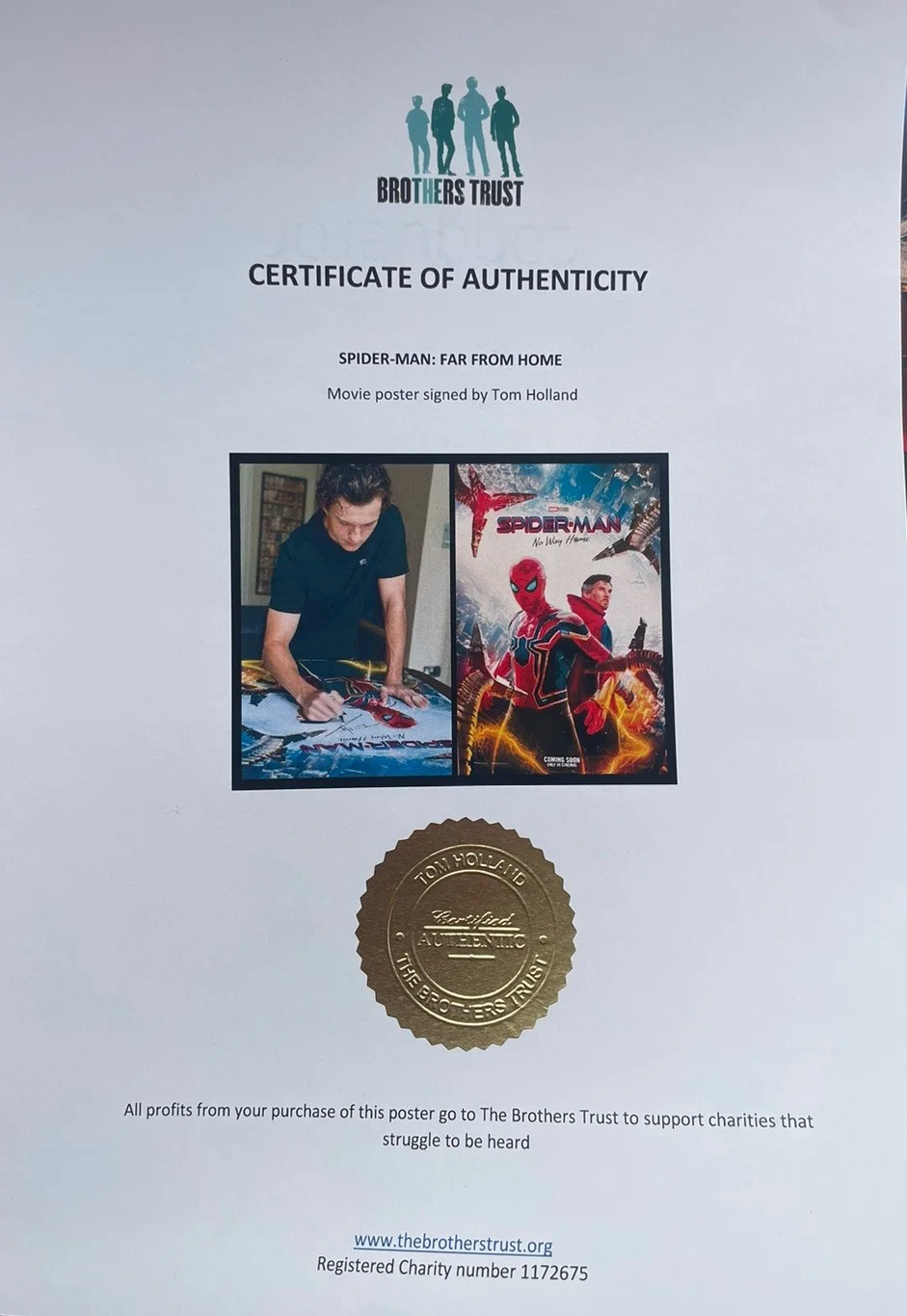 Tom Holland — Tom Holland Signed Autographed Spider-Man No Way Home 27x40 Poster Psa/Dna Read, изображение 5