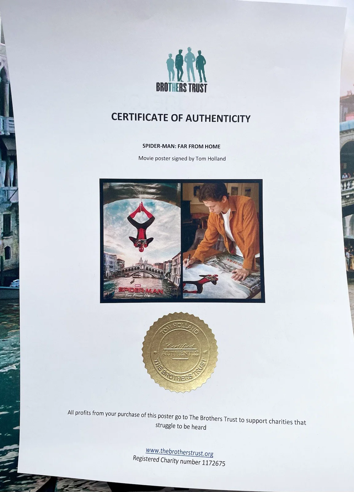 Tom Holland — Tom Holland Signed Autographed Spider-Man Far From Home 27x40 Poster Psa/Dna Coa, изображение 5