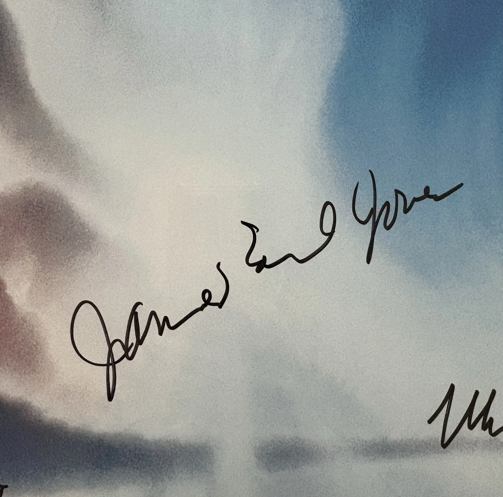Matthew Broderick, Nathan Lane, Moira Kelly, James Earl Jones — The Lion King Original Autographed Poster Signed by Main Cast, image 3