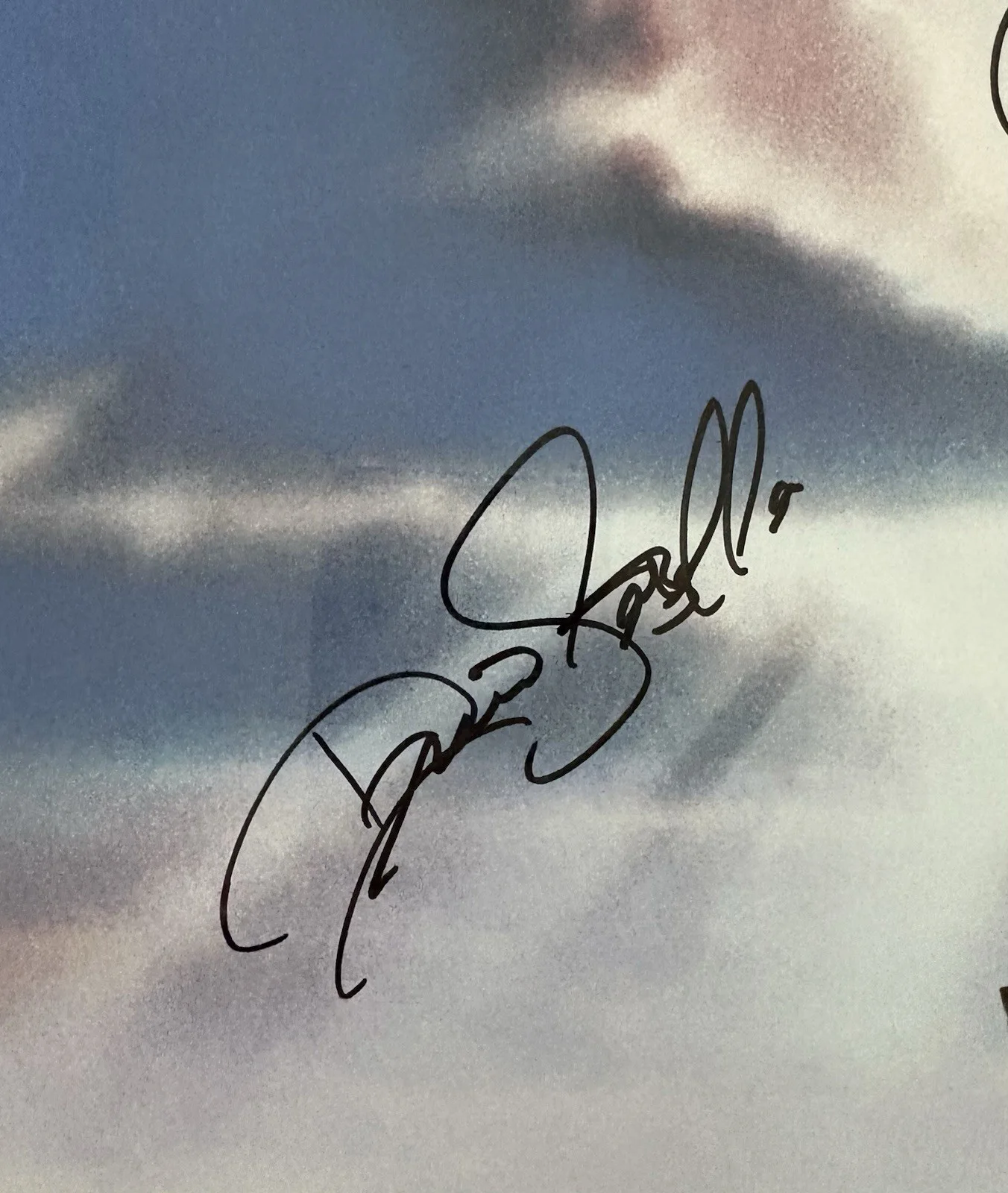 Matthew Broderick, Nathan Lane, Moira Kelly, James Earl Jones — The Lion King Original Autographed Poster Signed by Main Cast, image 4