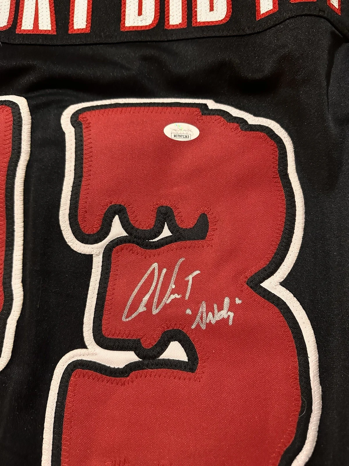 Alex Vincent Celebrity Actor Authentic Singed Pro Style Jersey Autographed JSA, image 3