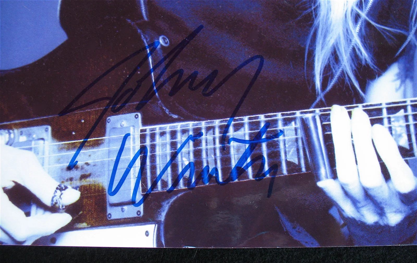 JOHNNY WINTER-Mega Rare Signed Photograph & Pickguard From Chicago Blues Fest, изображение 2