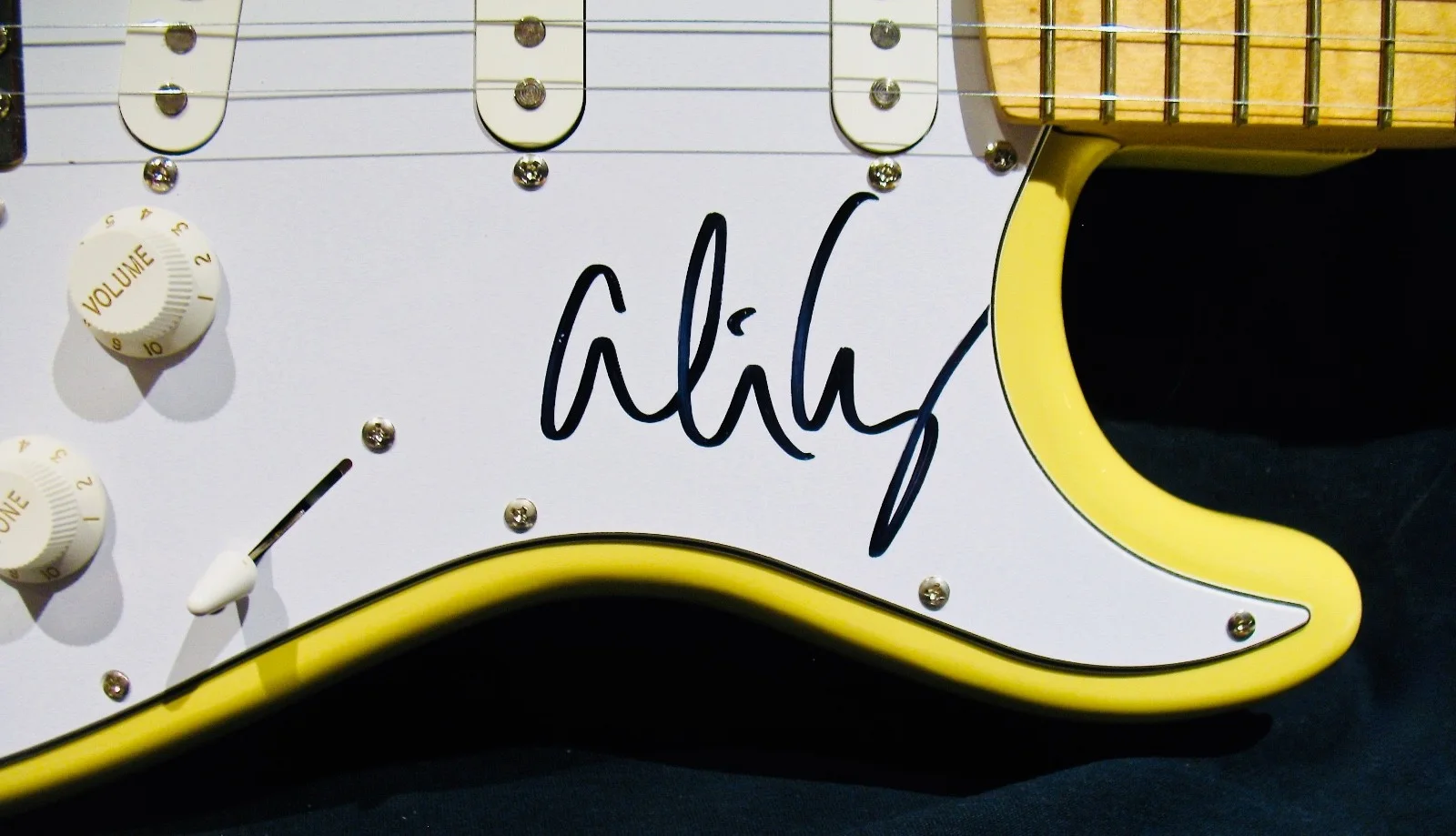 ALICE COOPER-Rare Autographed Electric Guitar-Goth Hard Rock-EPPERSON COA, image 3