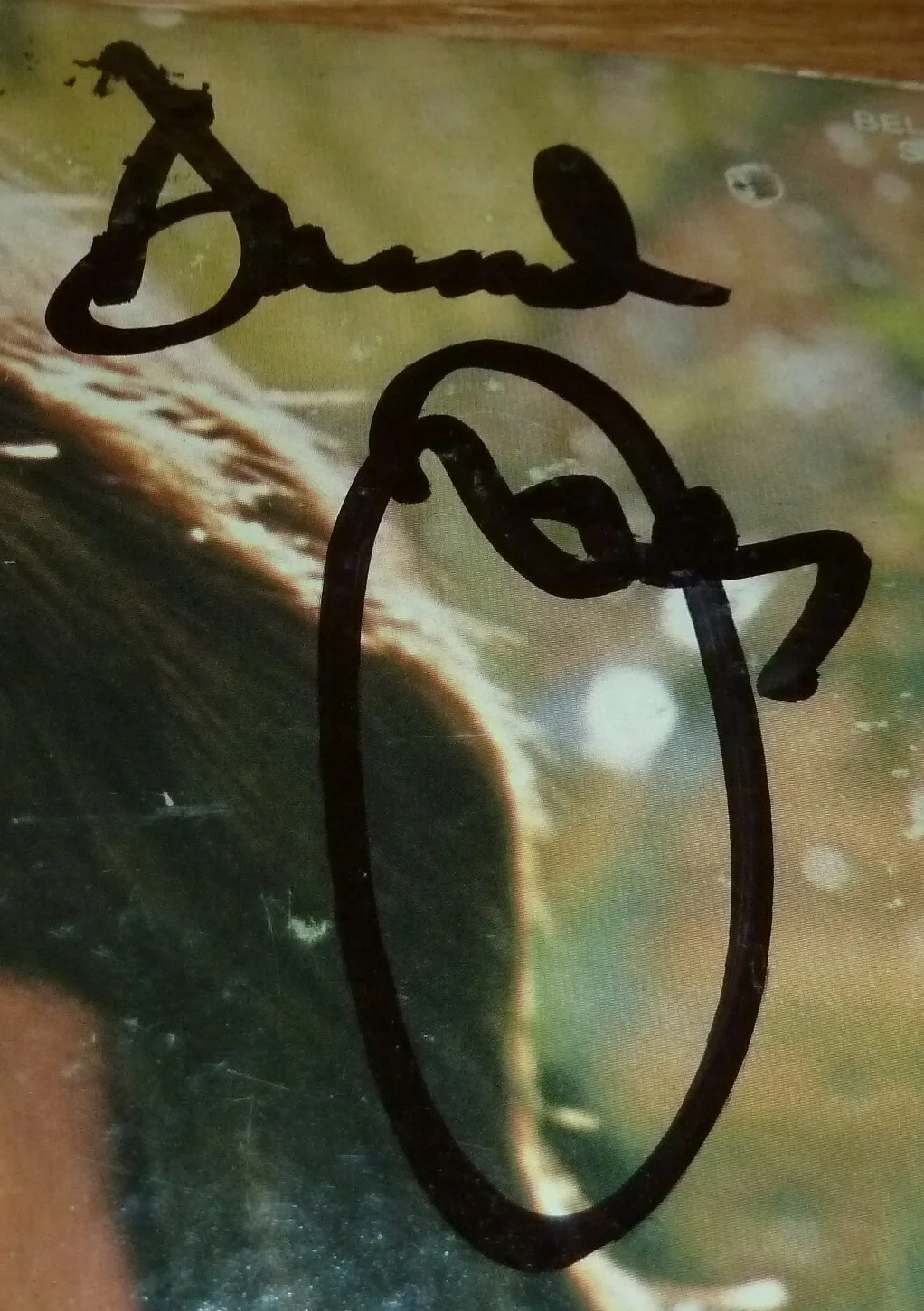 BECKETT-BAS DAVY JONES AUTOGRAPHED DAVY JONES SELF TITLED RECORD ALBUM Q23164, image 3