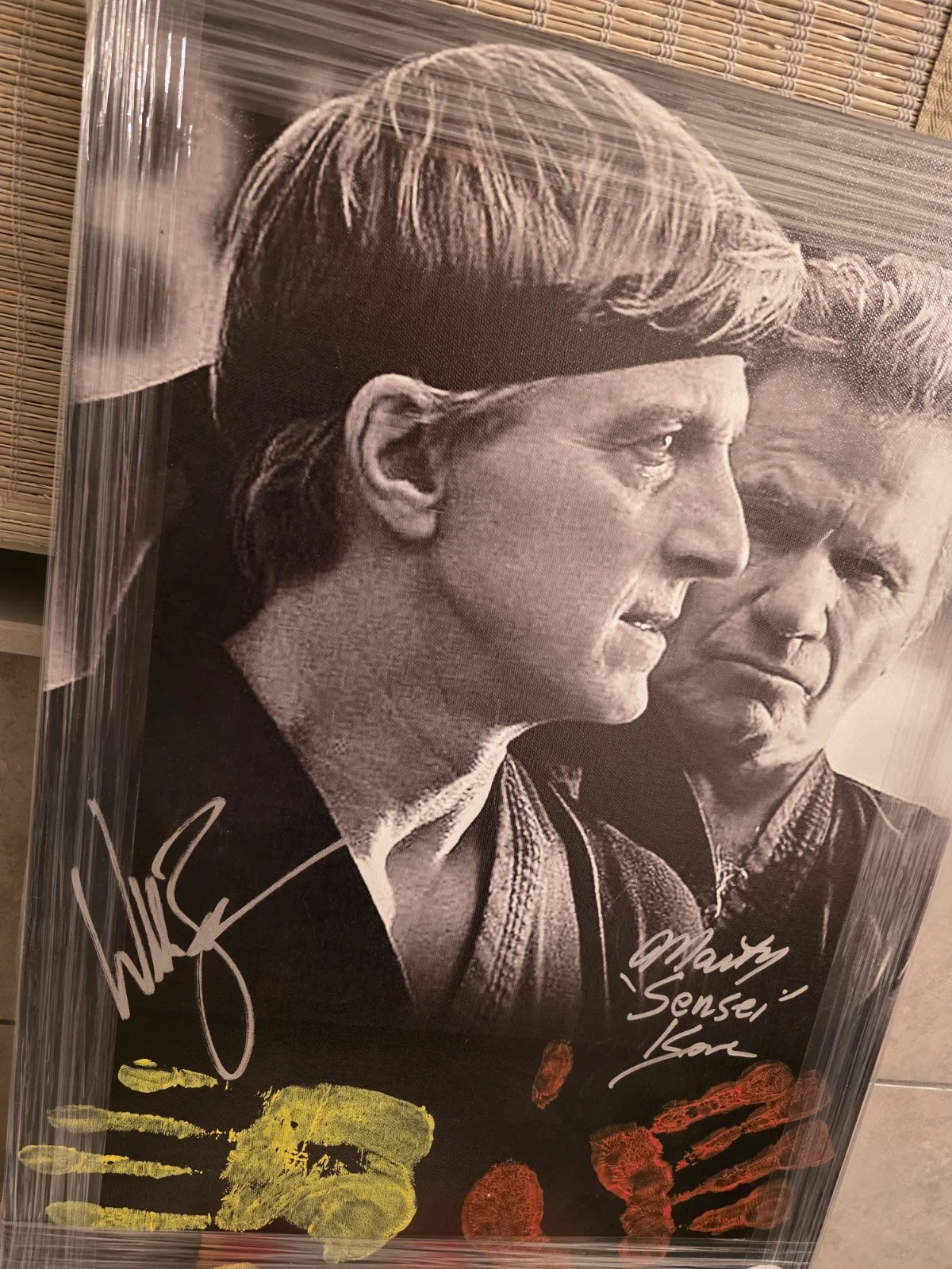 Cast — William Zabka & Martin Kove Cobra Kai Signed 16x22 Canvas JSA The Karate Kid, image 2