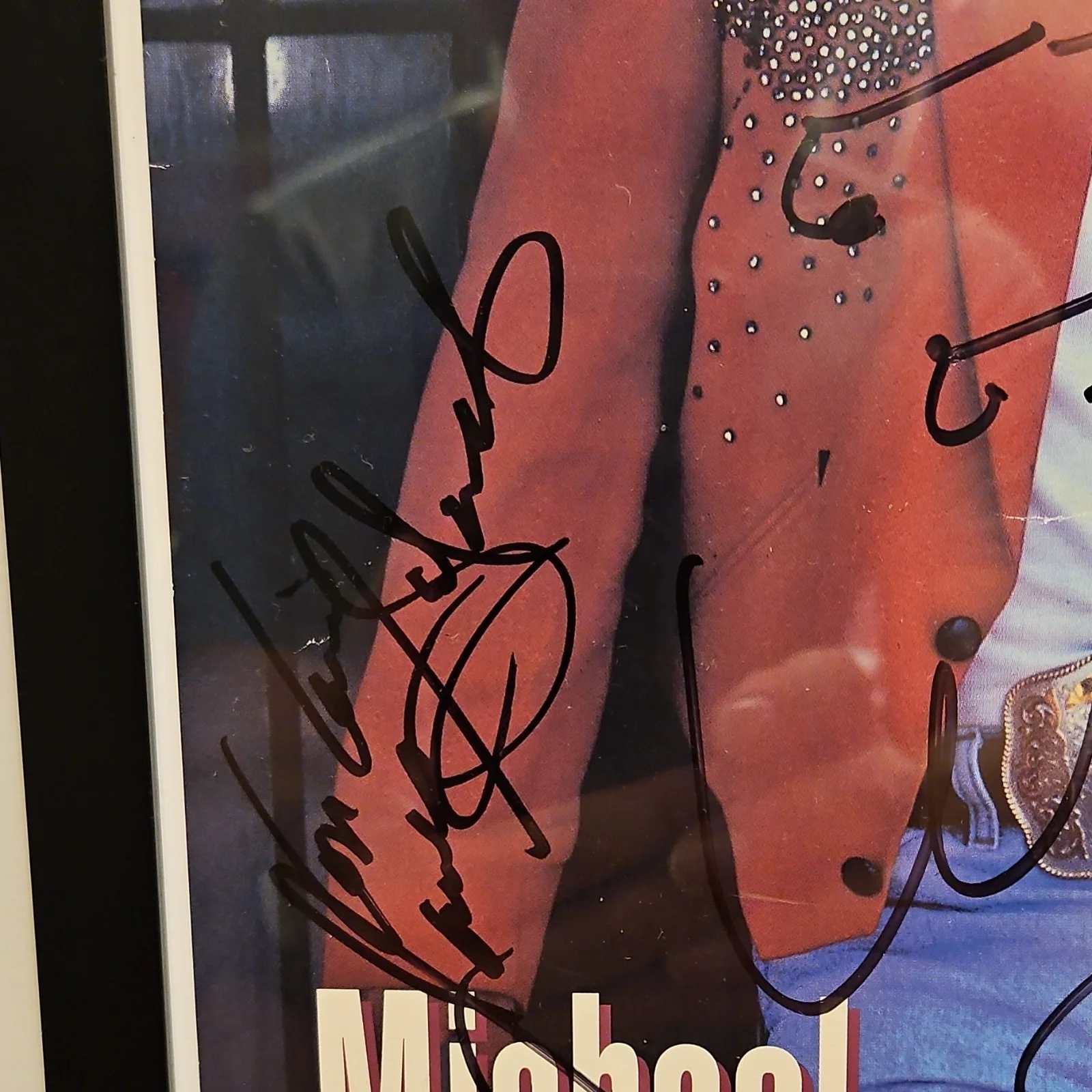 Michael Salgado Autographed Framed Poster Multiple Signatures, image 2