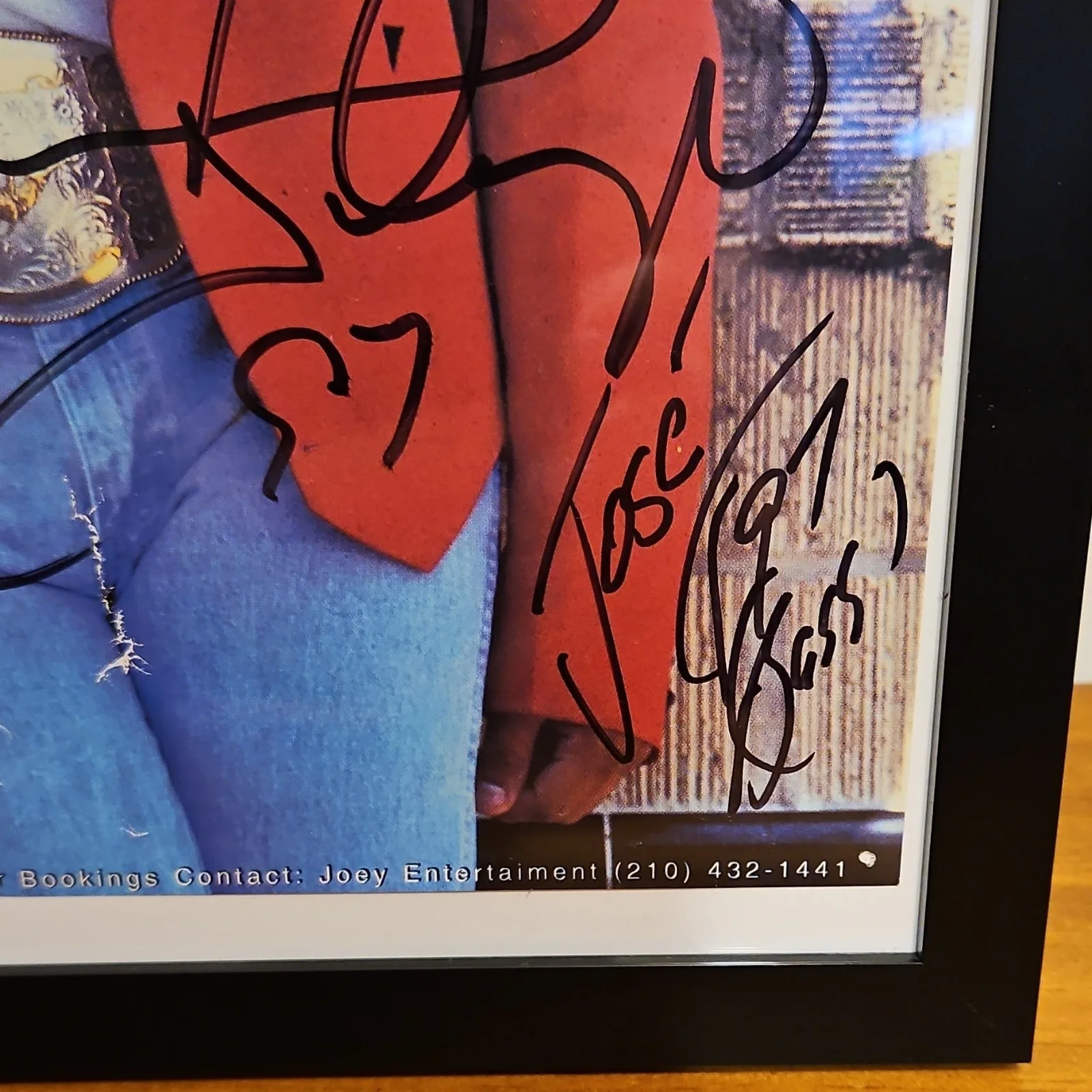 Michael Salgado Autographed Framed Poster Multiple Signatures, image 5