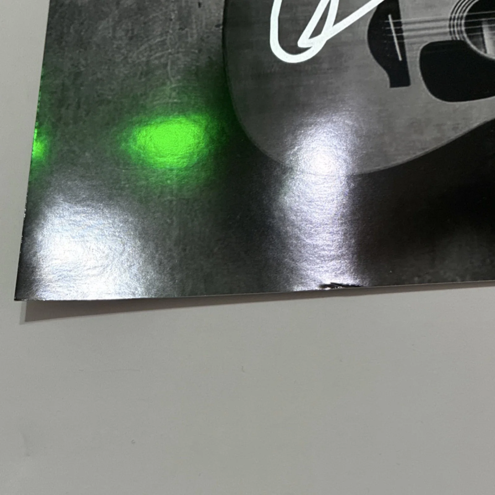 Laura Jane Grace Against Me! Autographed 8x10 Signed Proof Picture READ DAMAGED, image 3