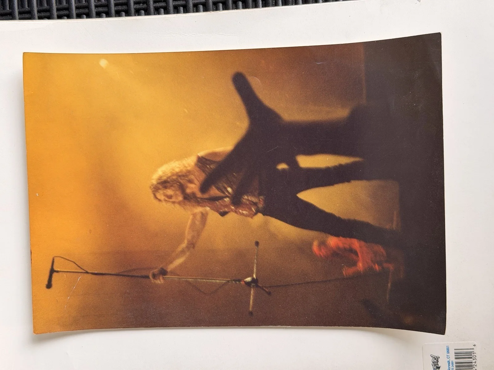 ROBERT PLANT lead singer of LED ZEPPELIN PHOTOGRAPHY LOT OF 2, изображение 2
