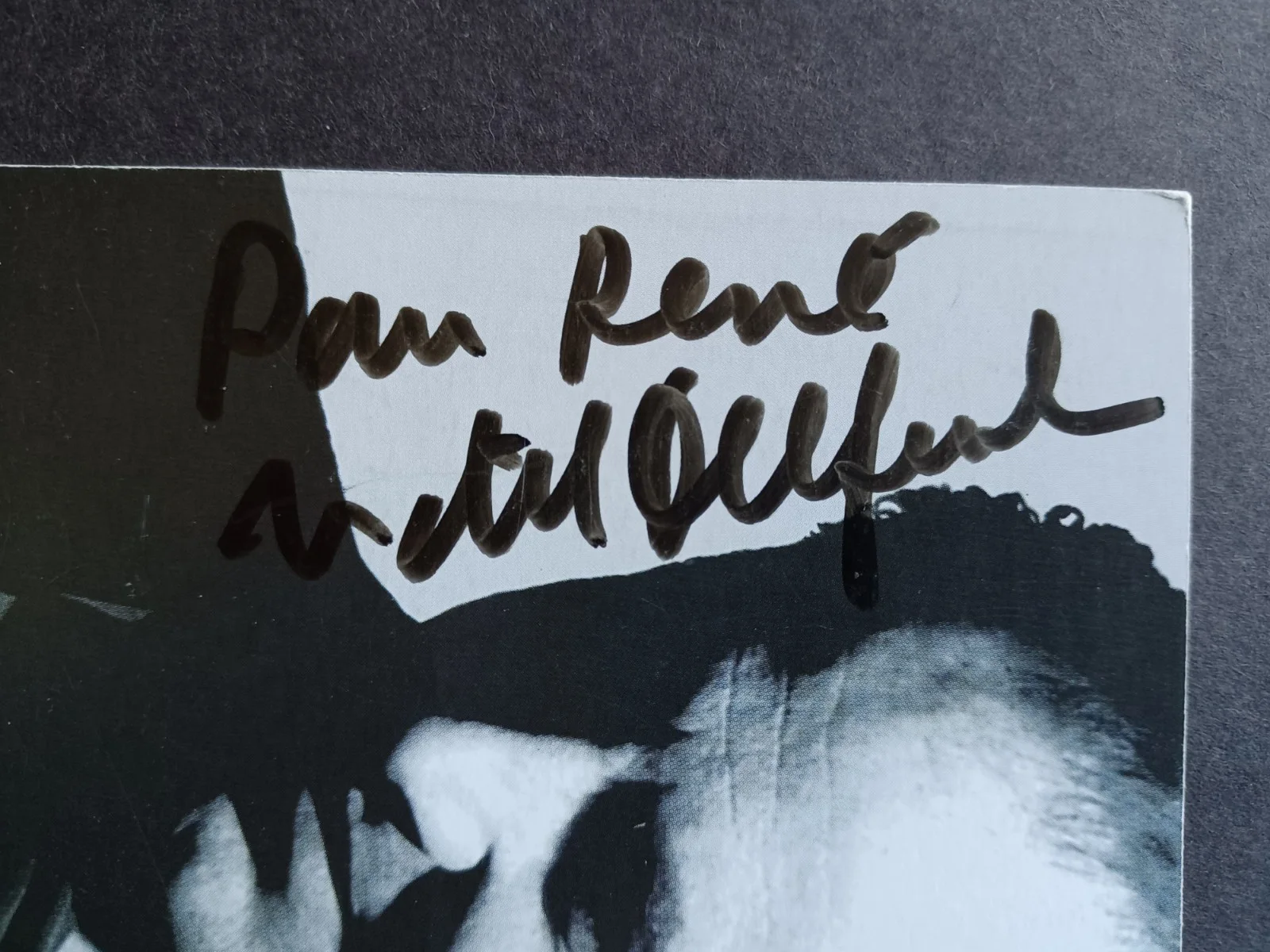 Michel Delpech (d. 2016) Signed 4x6 Photo - French Singer, Actor, image 2