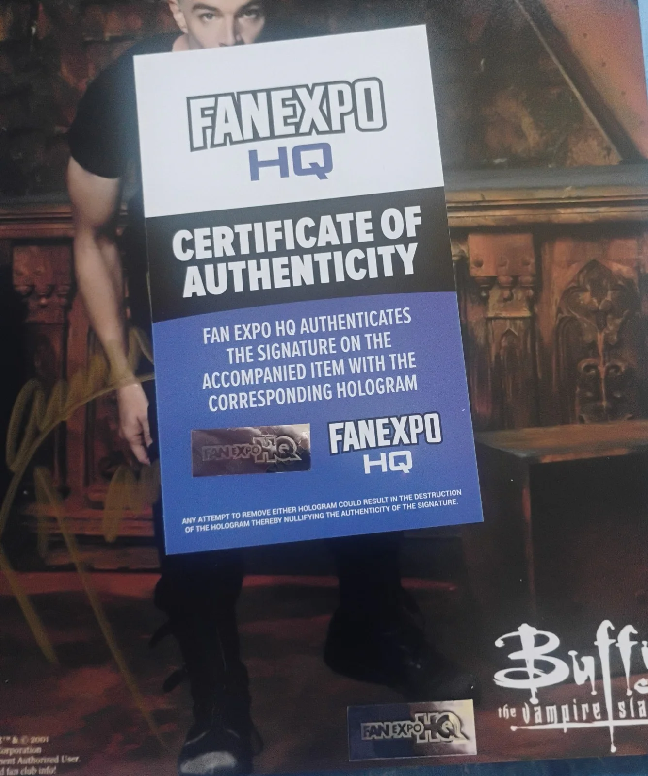 James Marsters Hand Signed Autograph 8x10 Photo COA Spike NO US TARIFFS, image 4