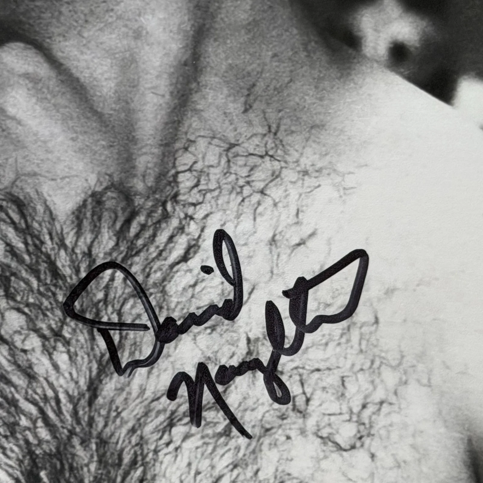 David Naughton — David Naughton Signed 8x10 Photo An American Werewolf in London Actor Autograph, изображение 2