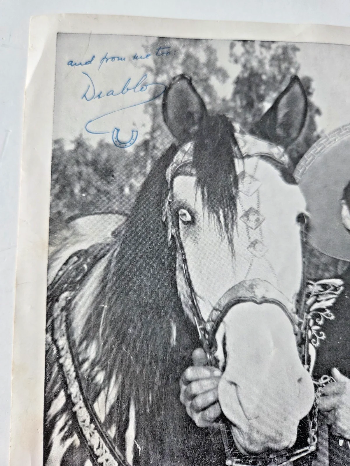The Cisco Kid — The Cisco Kid & Diablo signed inscribed b/w 8 x 9 photo Vintage Western Cowboy, изображение 3