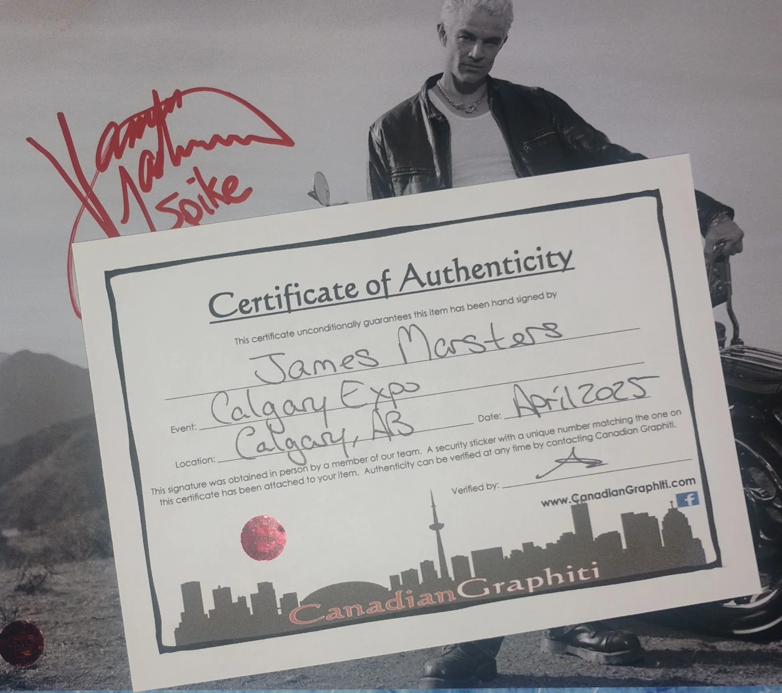 James Marsters Hand Signed Autograph Photo COA Spike NO US TARRIFS, изображение 4