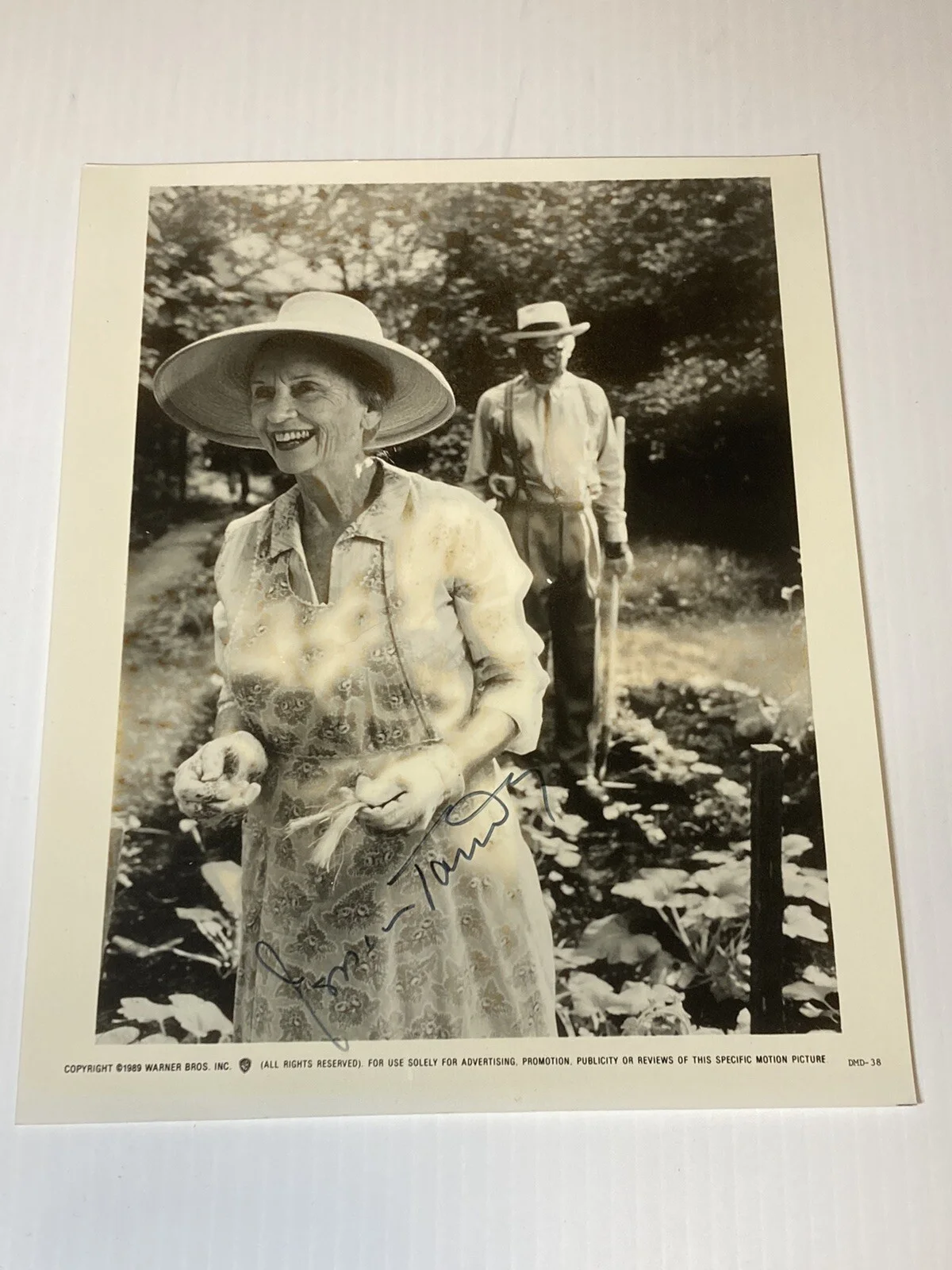 Jessica Tandy — JESSICA TANDY Signed Autograph Original Press Photo DRIVING MISS DAISY Movie