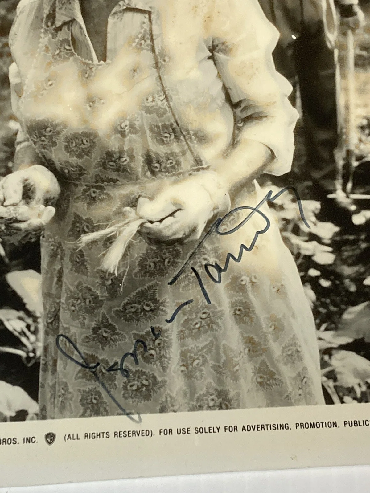 Jessica Tandy — JESSICA TANDY Signed Autograph Original Press Photo DRIVING MISS DAISY Movie, изображение 2