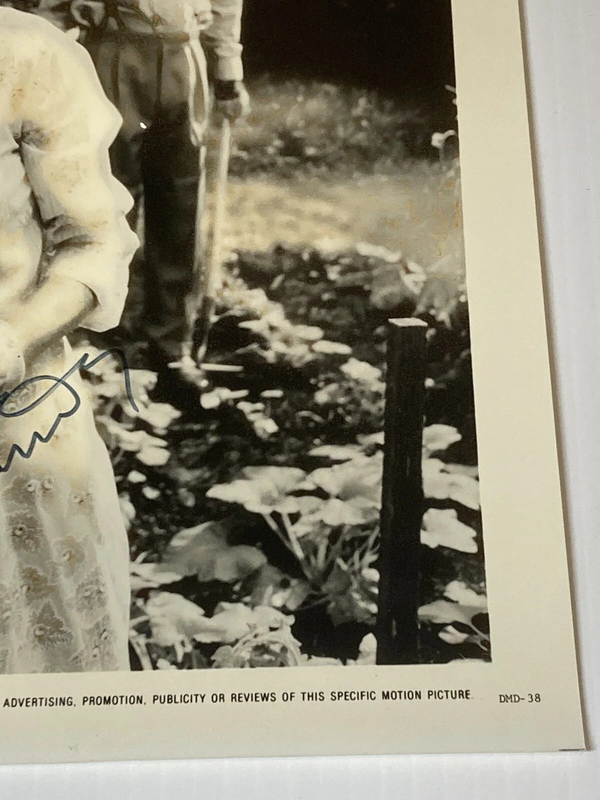Jessica Tandy — JESSICA TANDY Signed Autograph Original Press Photo DRIVING MISS DAISY Movie, изображение 4
