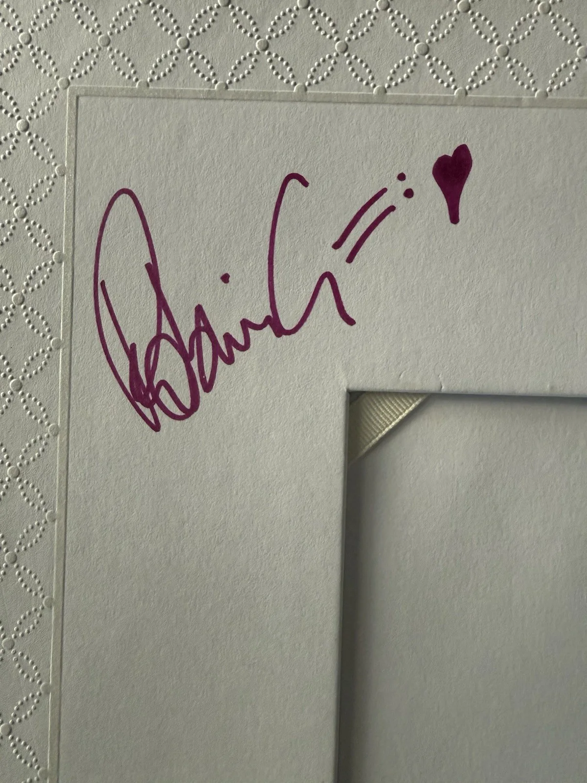 Bush X4 Autographed Signature Photo Mat 11x13 with 4x6 Opening Gavin Rossdale, изображение 3