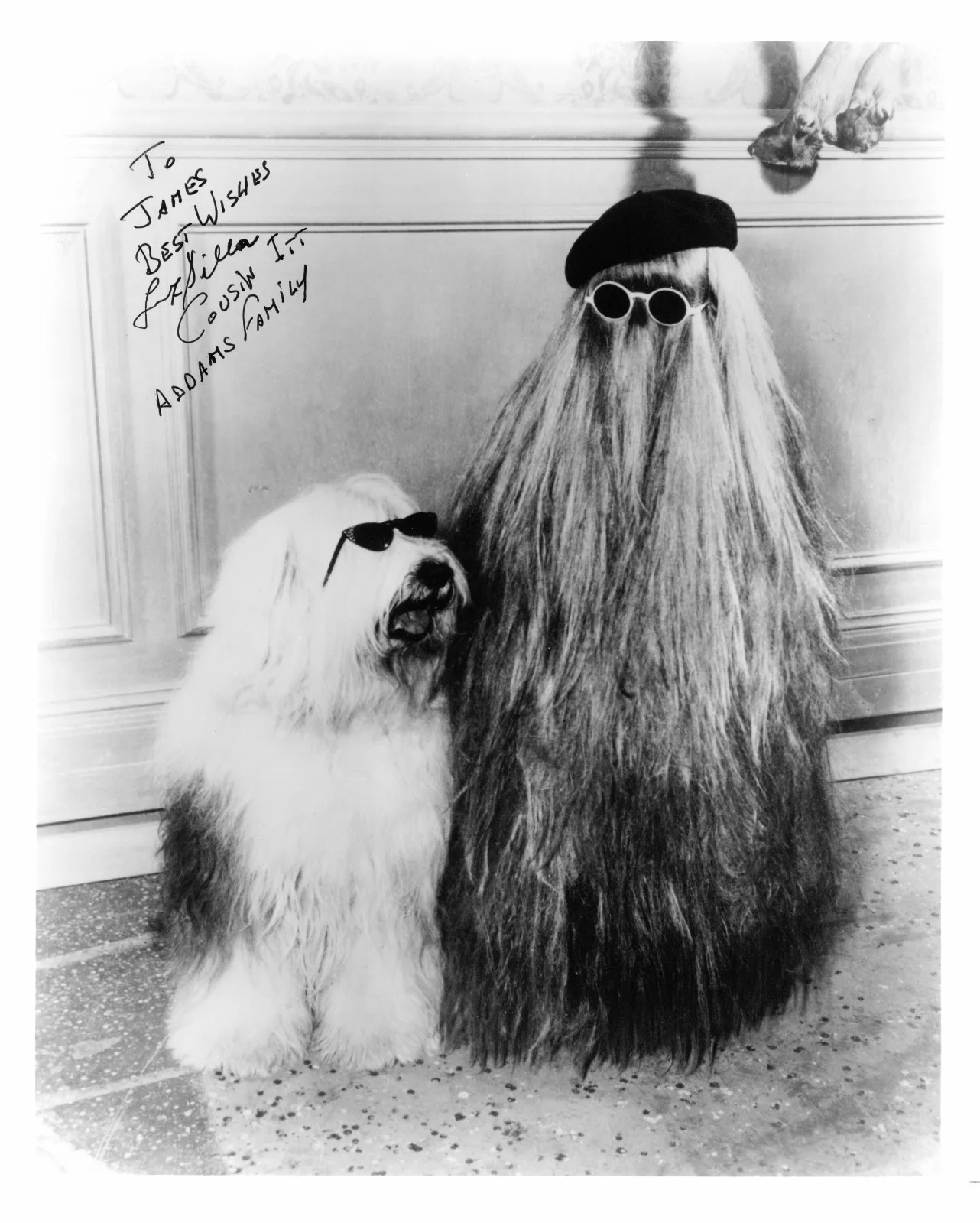 Felix Silla — Felix Silla Buck Rogers Twiki Addams Family Cousin It Ewok 8x10 photo signed