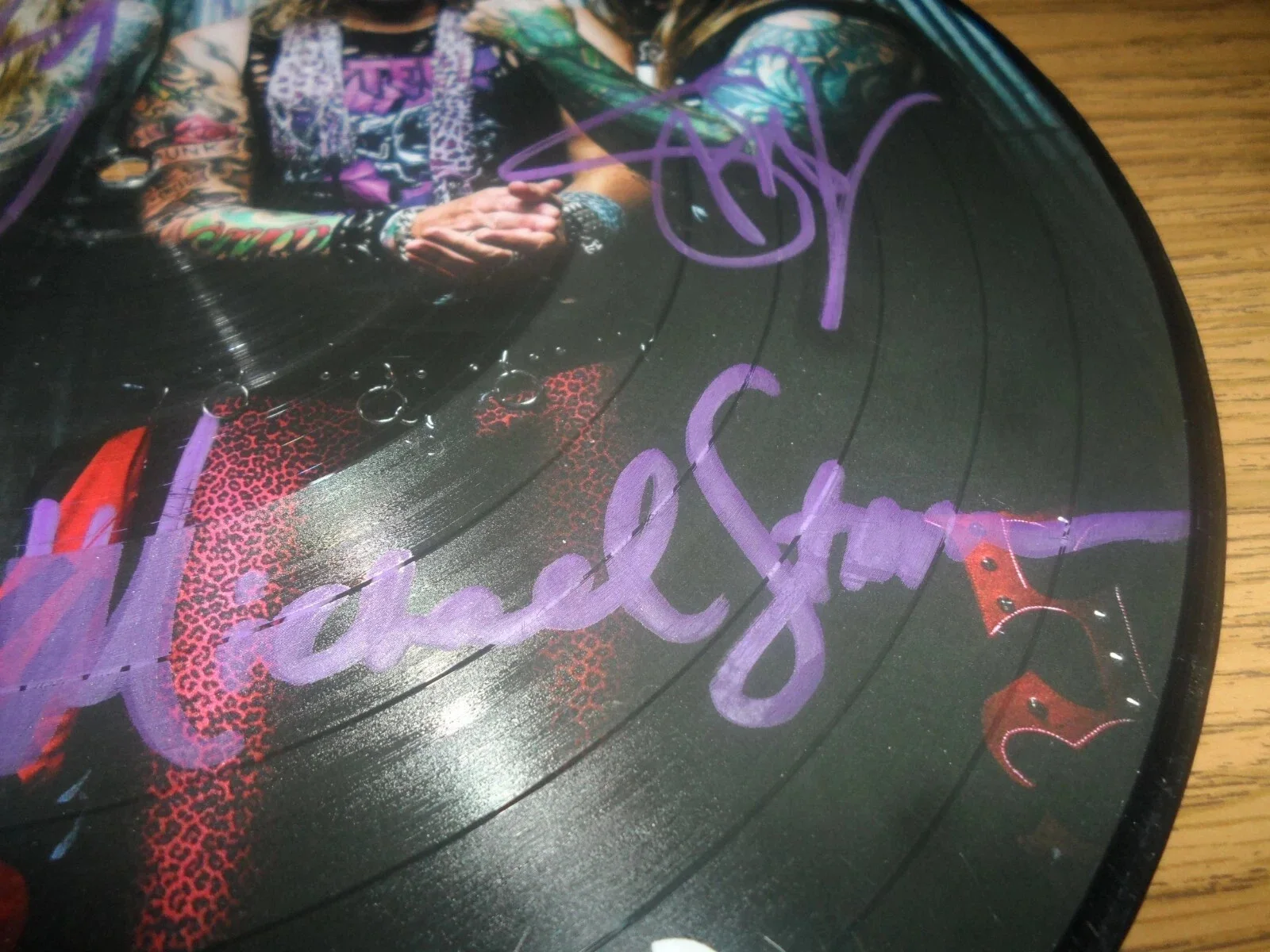 STEEL PANTHER AUTHENTIC AUTOGRAPHED/SIGNED PICTURE DISC BY ENTIRE BAND--JSA CERT, image 2