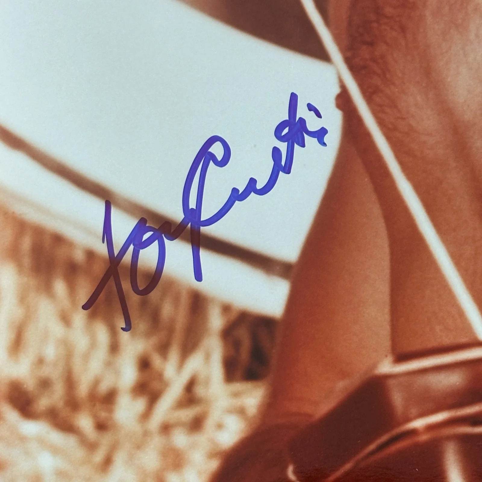 TONY CURTIS — TONY CURTIS Signed 16x20 PHOTO Beckett Authenticated (BAS), image 2