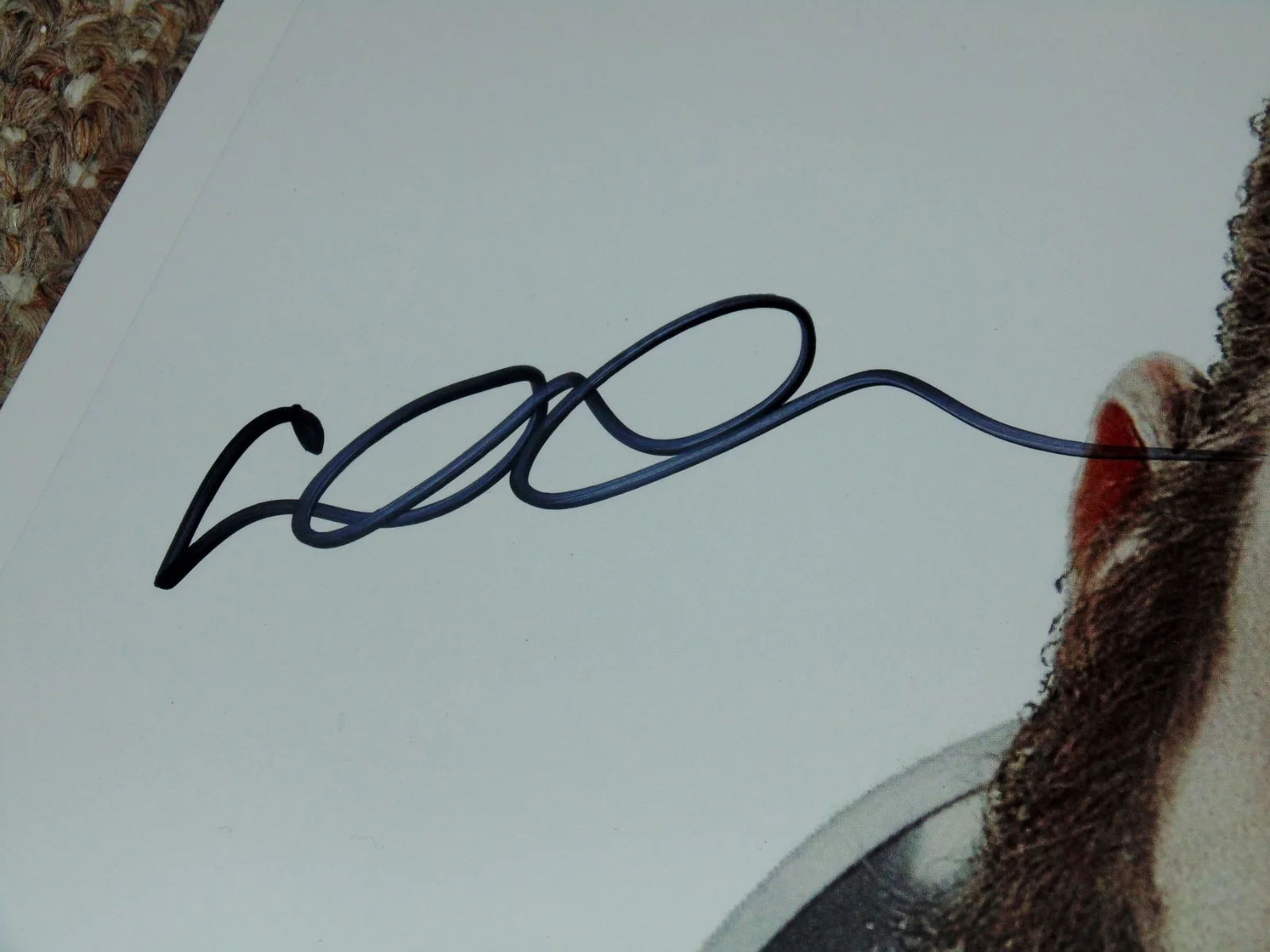 Elden Henson — Elden Henson The Hunger Games: Mockingjay 8x10 Signed Photo Hal-Con 2017, изображение 2