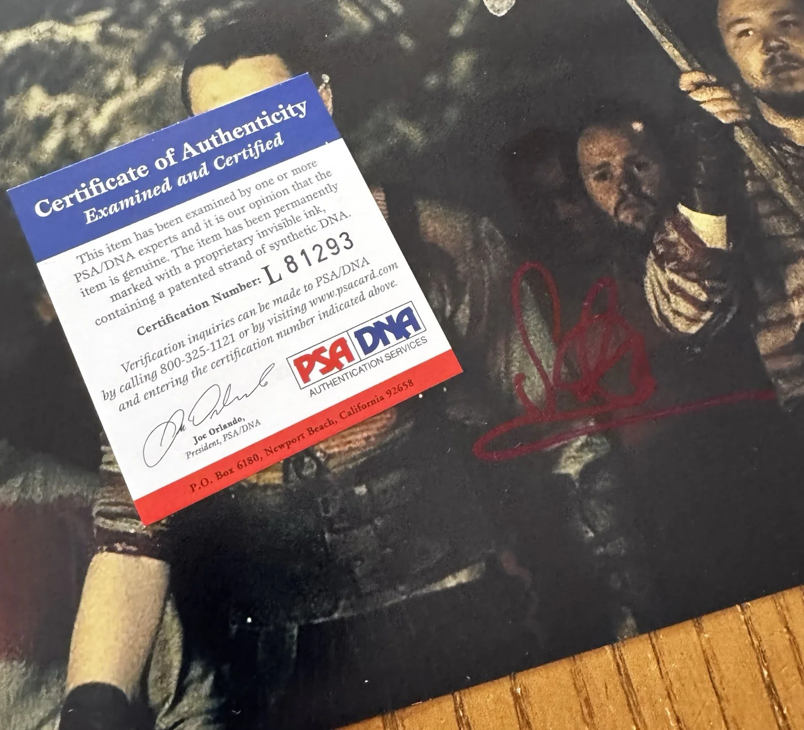 Stephen Graham — Stephen Graham Signed 8 X 10 Photo Peaky Blinders Gangs of New York PSA/DNA COA, изображение 4