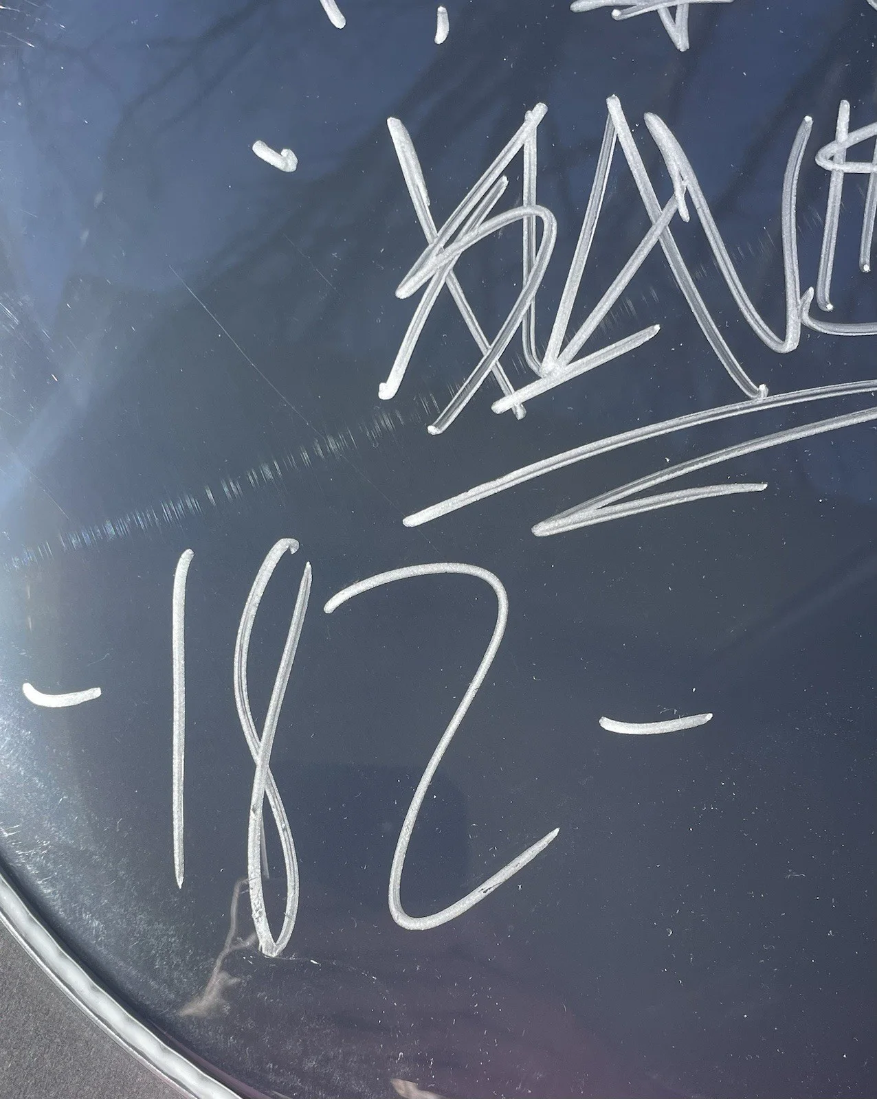 Blink 182 Band Signed Drumhead Travis Barker Tom Delonge Mark Hoppus Psa/Dna, image 5