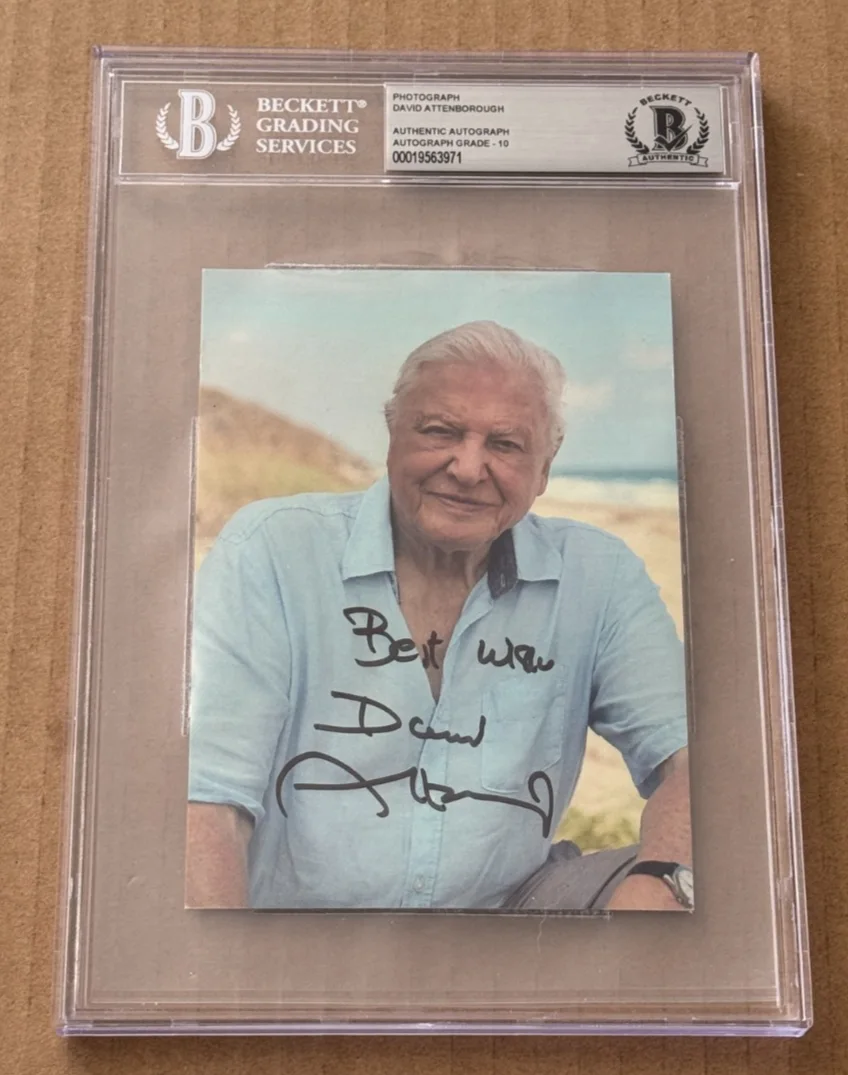 DAVID ATTENBOROUGH — DAVID ATTENBOROUGH SIGNED 4X6 PHOTO SLABBED BECKETT BAS AUTO GRADE 10