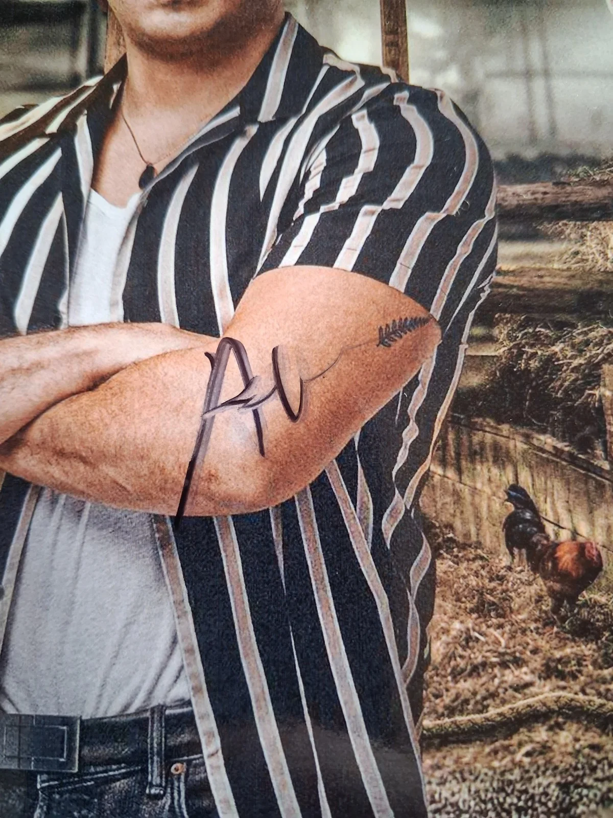 AARON HEFFERNAN in BRASSIC - Genuine hand signed 8x10 autograph, изображение 2