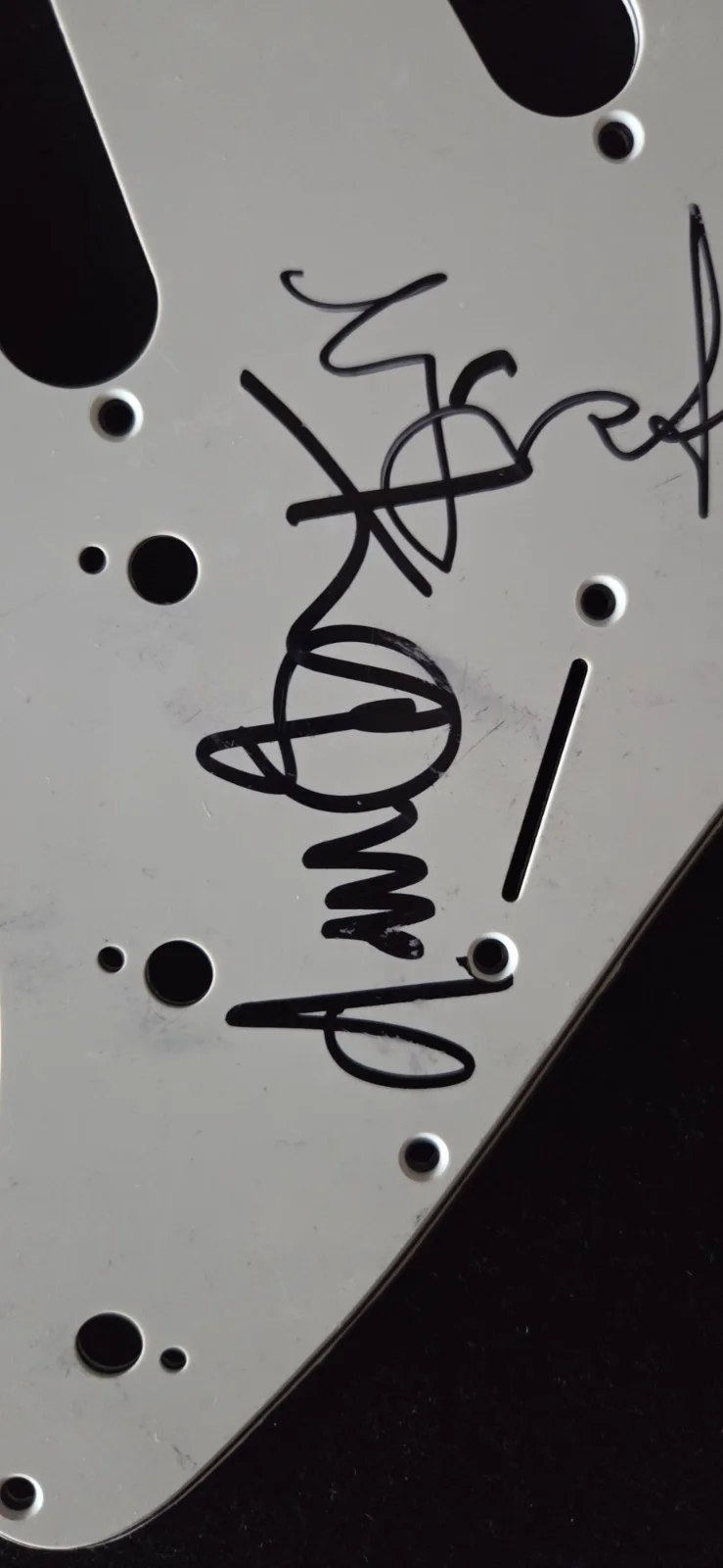Blur Signed Scratchplate, image 3