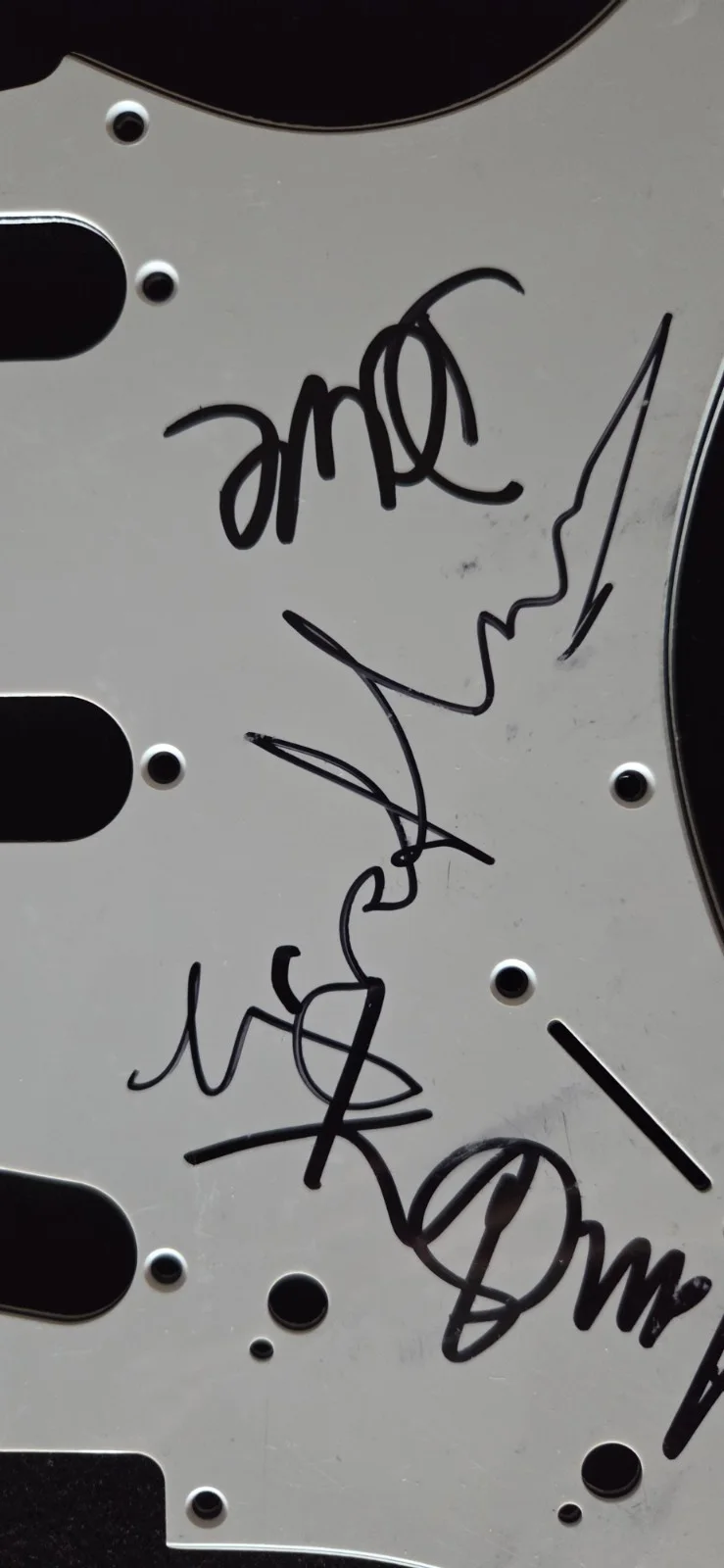 Blur Signed Scratchplate, image 4
