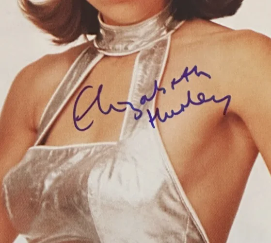 ELIZABETH HURLEY — ELIZABETH HURLEY Signed AUSTIN POWERS 16x20 PHOTO Beckett Authenticated (BAS), image 2
