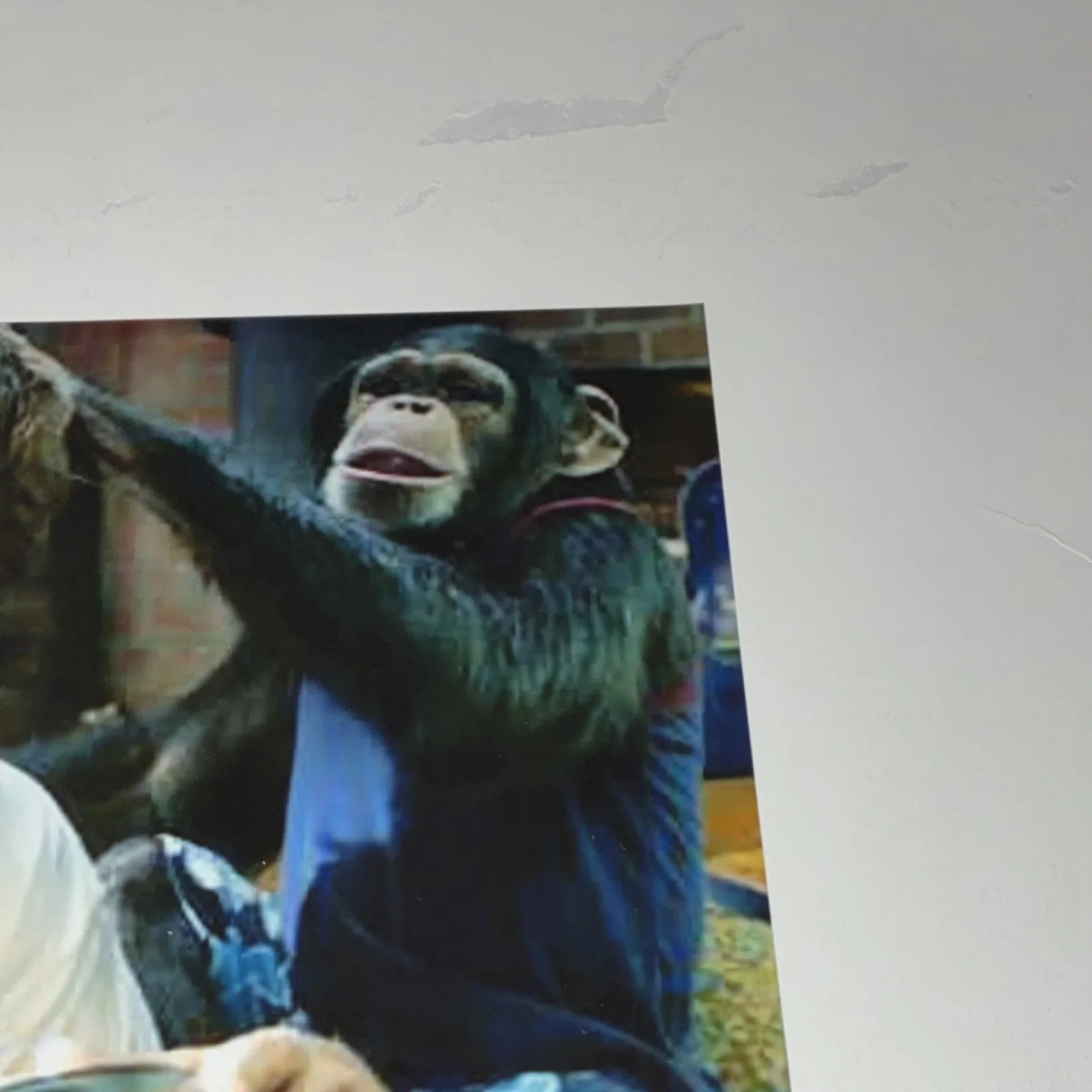 Peter Dante Actor “Grandma’s Boy” Autographed Signed 8x10 w/ proof photo READ, изображение 4