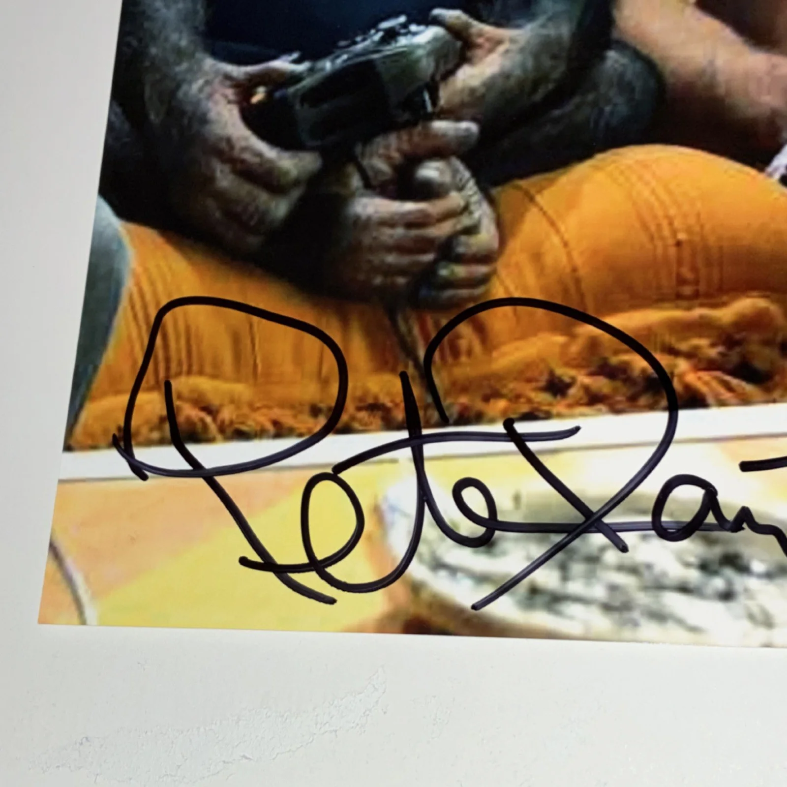 Peter Dante “Grandma’s Boy” Autographed Signed 8x10 (Exact Photo Proof) READ, изображение 4