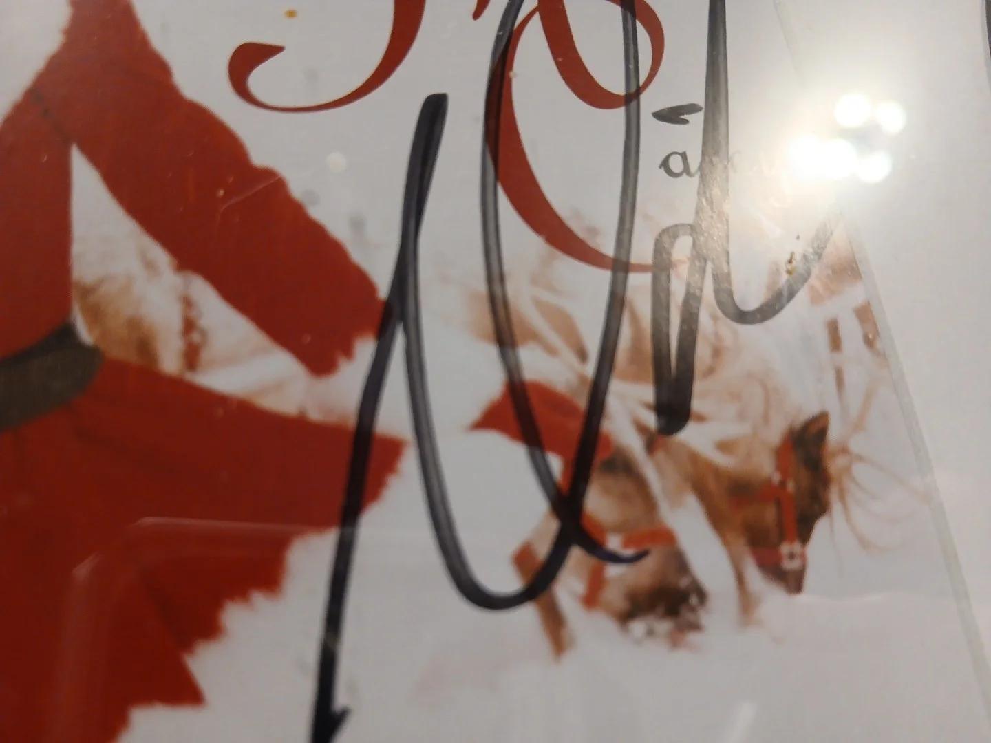 Mariah Carey Signed All I Want For Christmas Framed Display Matted CD Cover, изображение 2