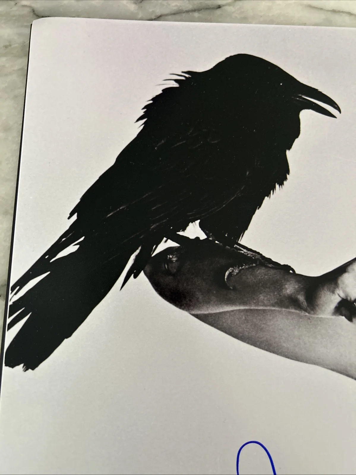Tippi Hedren Signed 16x20 Photo - “The Birds”Autographed - Great Pose!, изображение 5