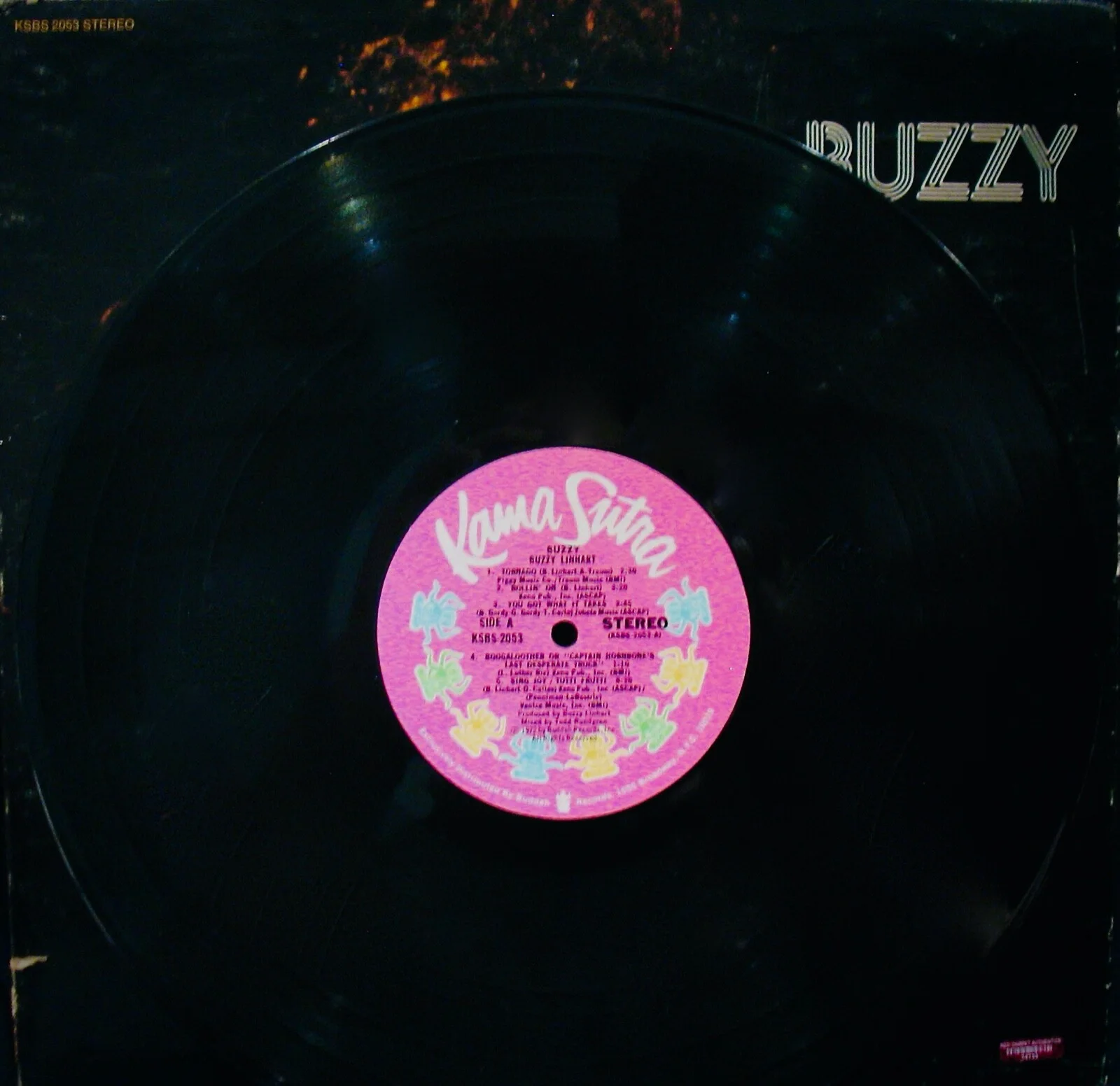BUZZY LINHART~Rare Autographed BUZZY Album w/COA+Hologram~Singer/Songwriter, изображение 3