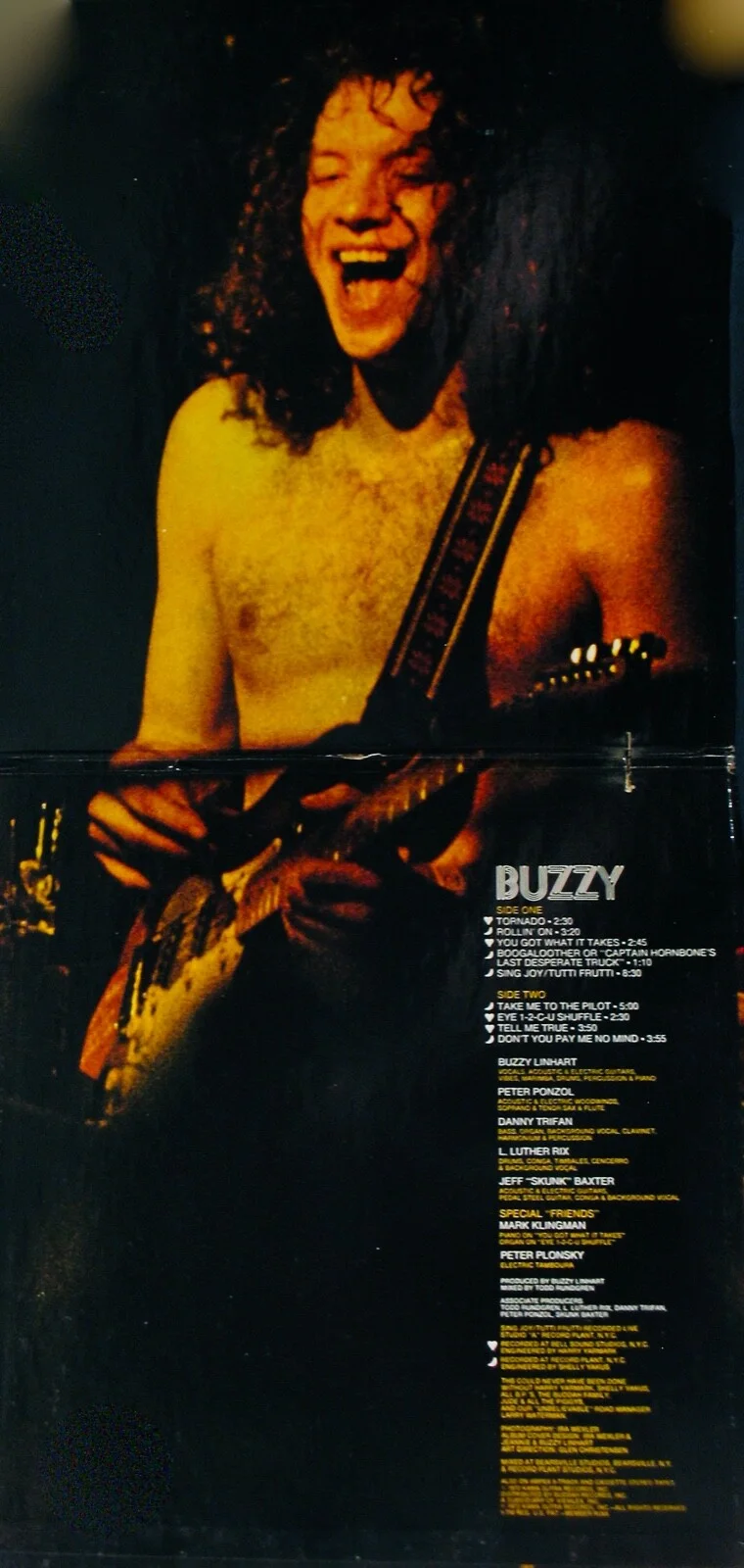 BUZZY LINHART~Rare Autographed BUZZY Album w/COA+Hologram~Singer/Songwriter, изображение 4